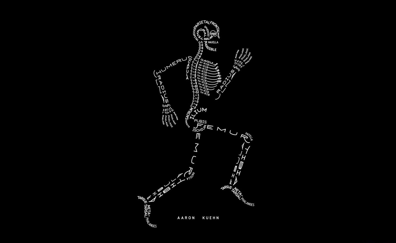 skeleton HD wallpaper, Background