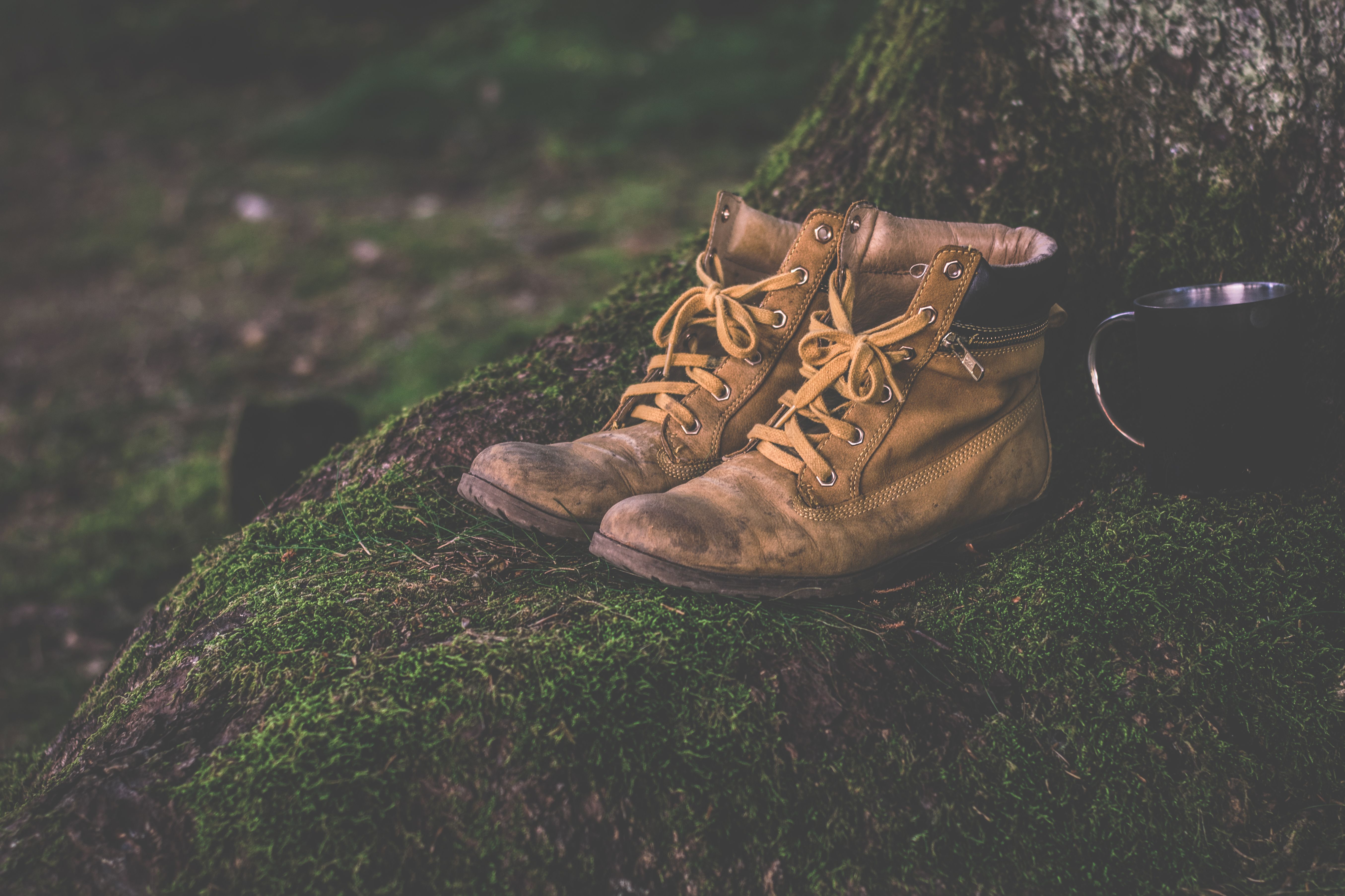 beautiful hiking boots