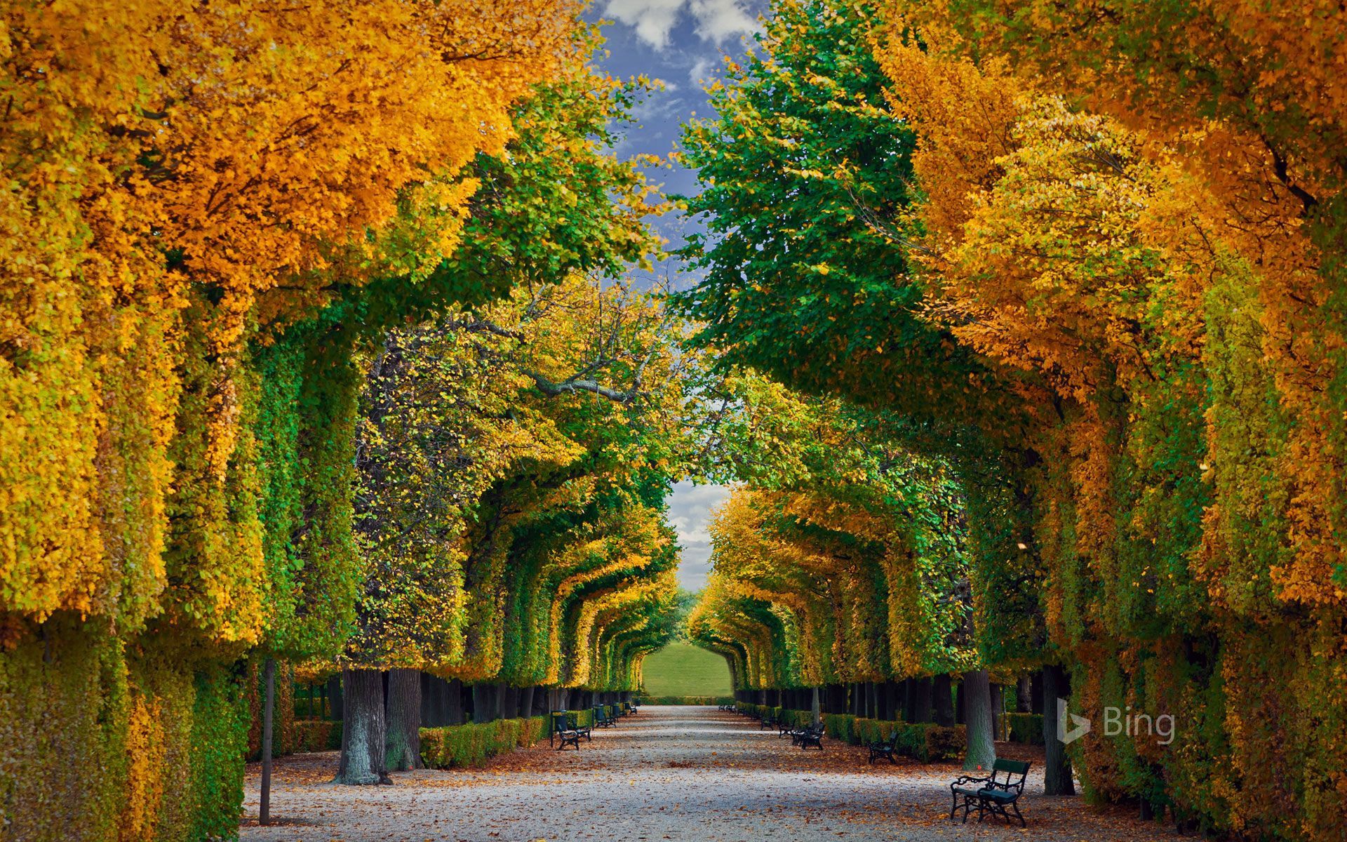 Bing Autumn Landscapes Image Wallpaper. Autumn landscape, Nature photography, Landscape