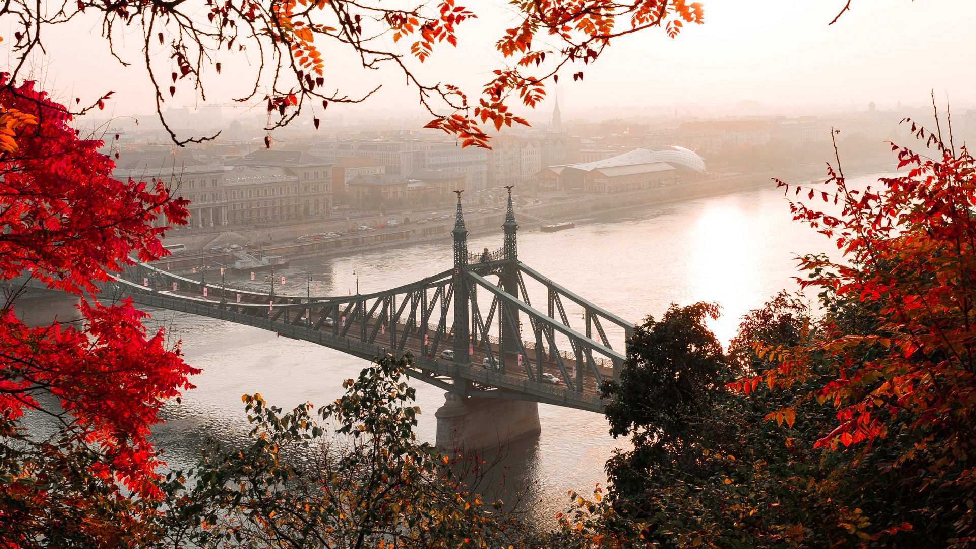 Download wallpaper 1920x1080 bridge, autumn, city, citadella, budapest, hungary full hd, hdtv, fhd, 1080p HD background