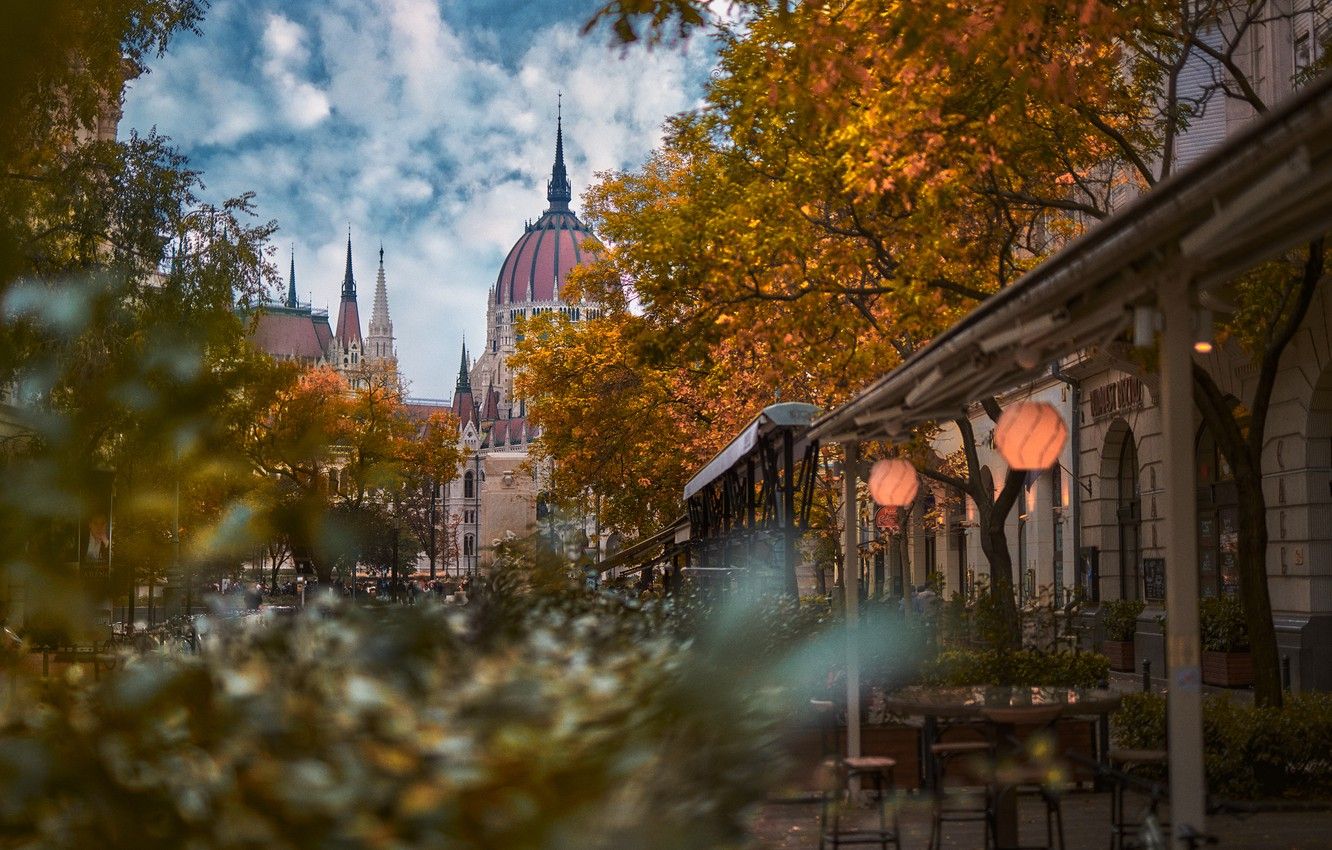 Wallpaper autumn, trees, the city, street, building, home, Parliament, tower, the dome, Hungary, Budapest image for desktop, section город