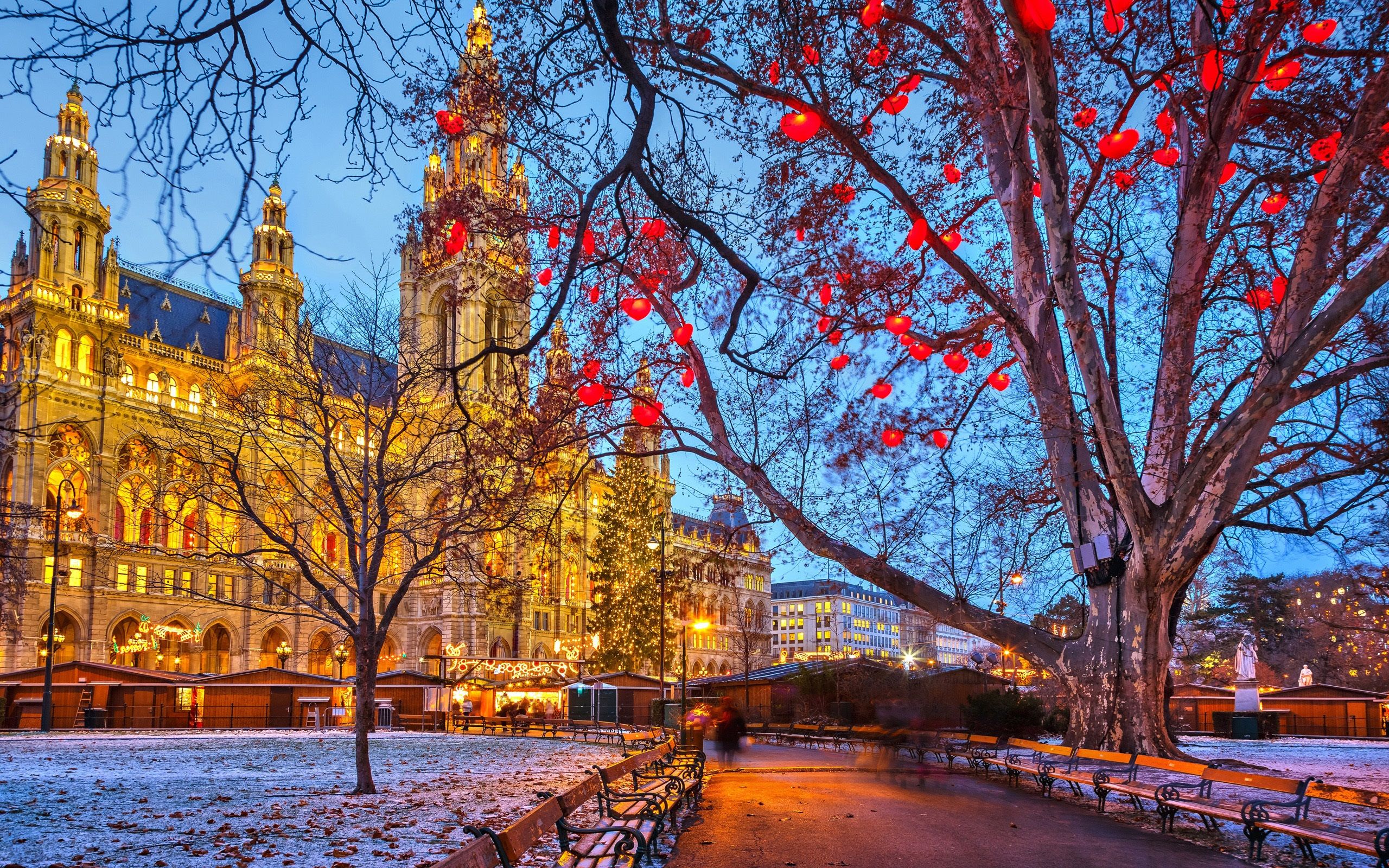Wallpaper Vienna, Austria, Town Hall, winter, snow, trees, evening, buildings, lights 2560x1600 HD Picture, Image