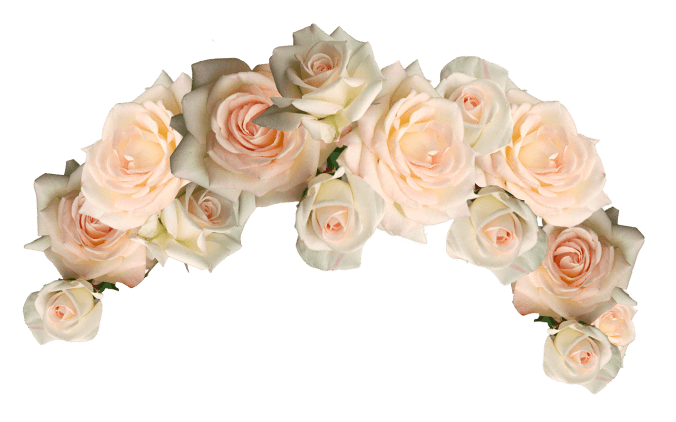 Flower Crown Png Transparent Flower Crown White Wallpaper & Background Download