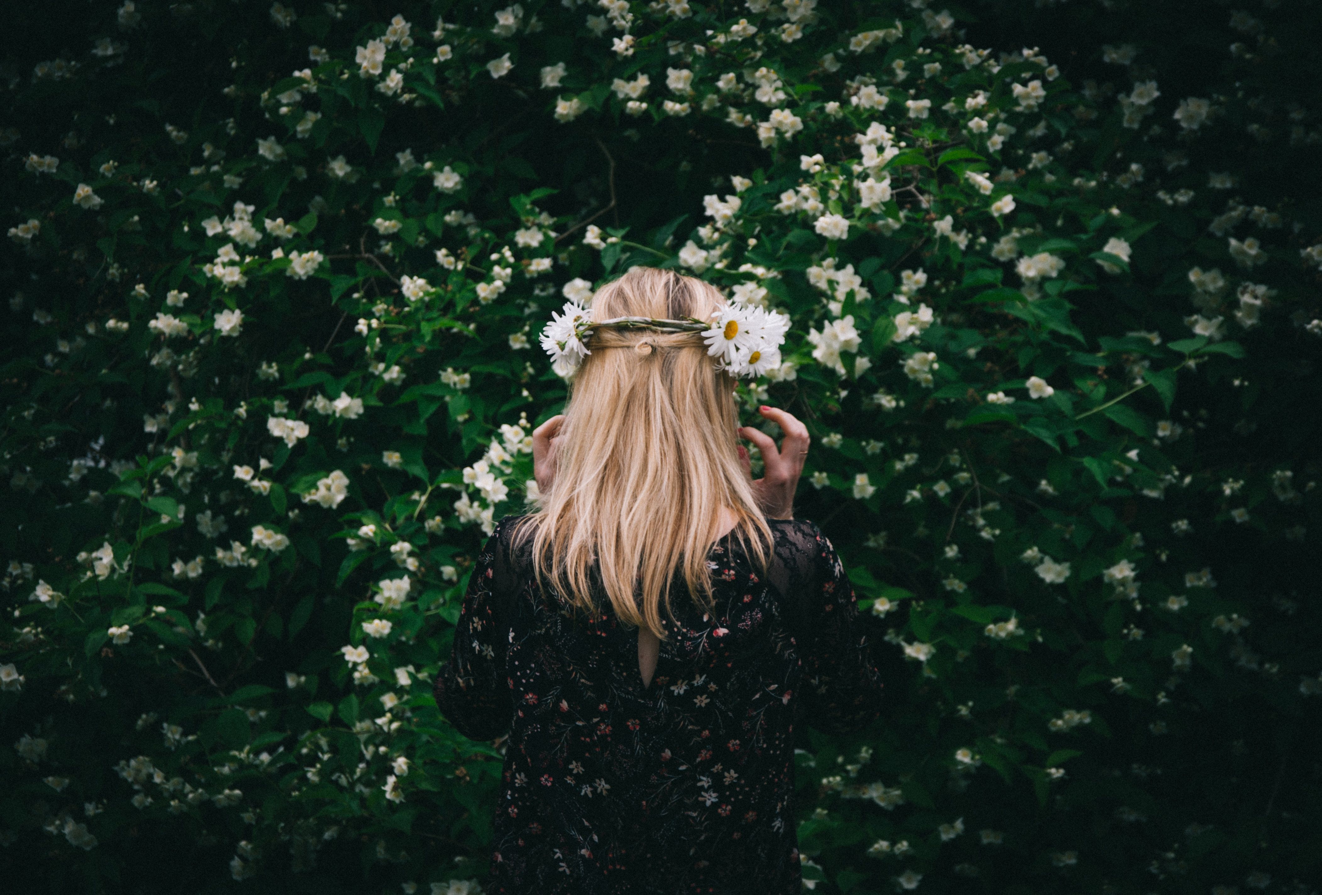 4205x2848 #Free image, #white flower, #bokeh, #blond, #dark, #plant, #midsummer, #flower, #floral crown, #crown, #simple, #back, #warm, #summer, #bush, #blonde, #sweden, #green, #woman, #girl, #uppsala. Mocah.org HD Desktop Wallpaper