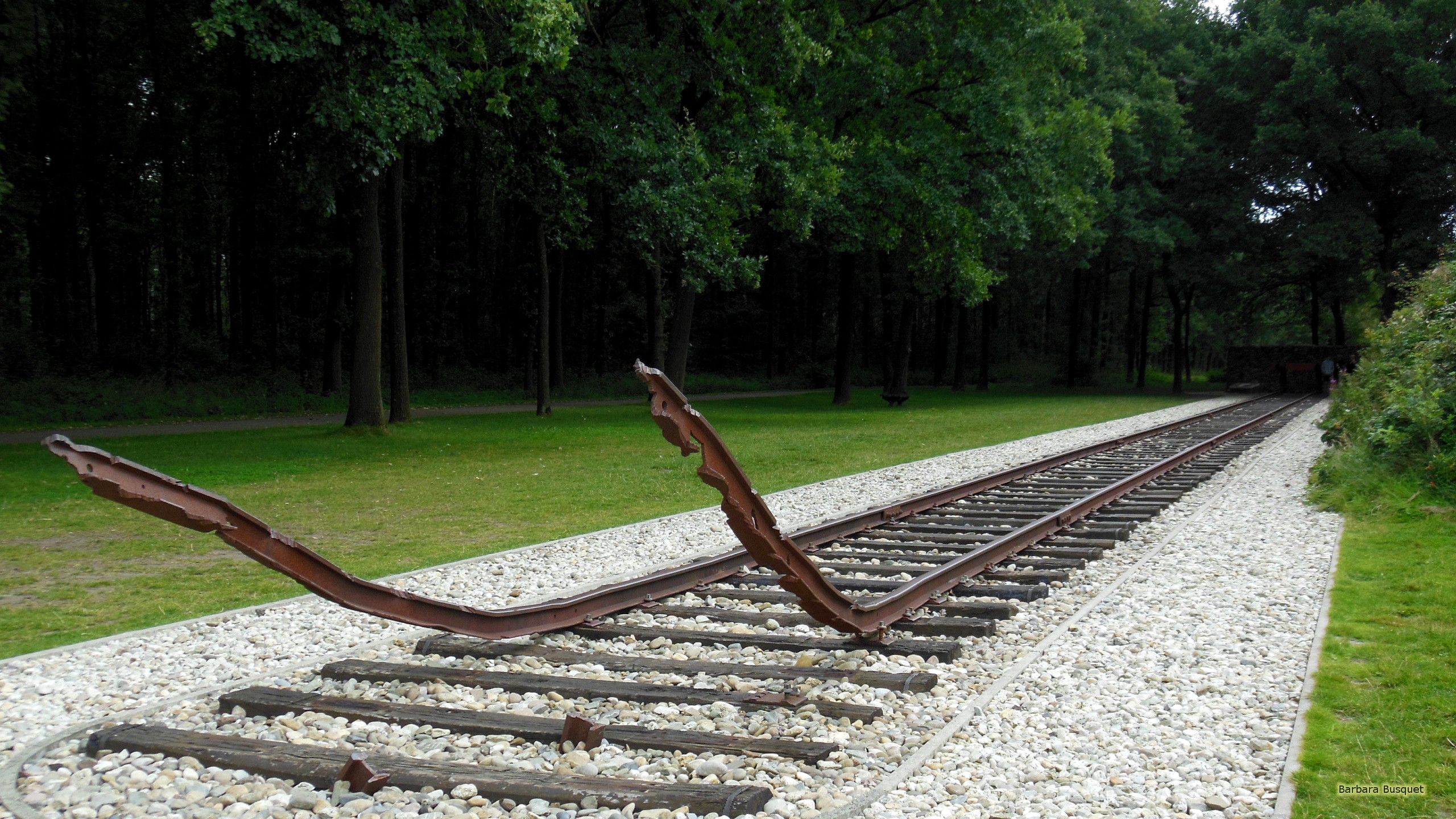 Railway track in The Netherlands's HD Wallpaper