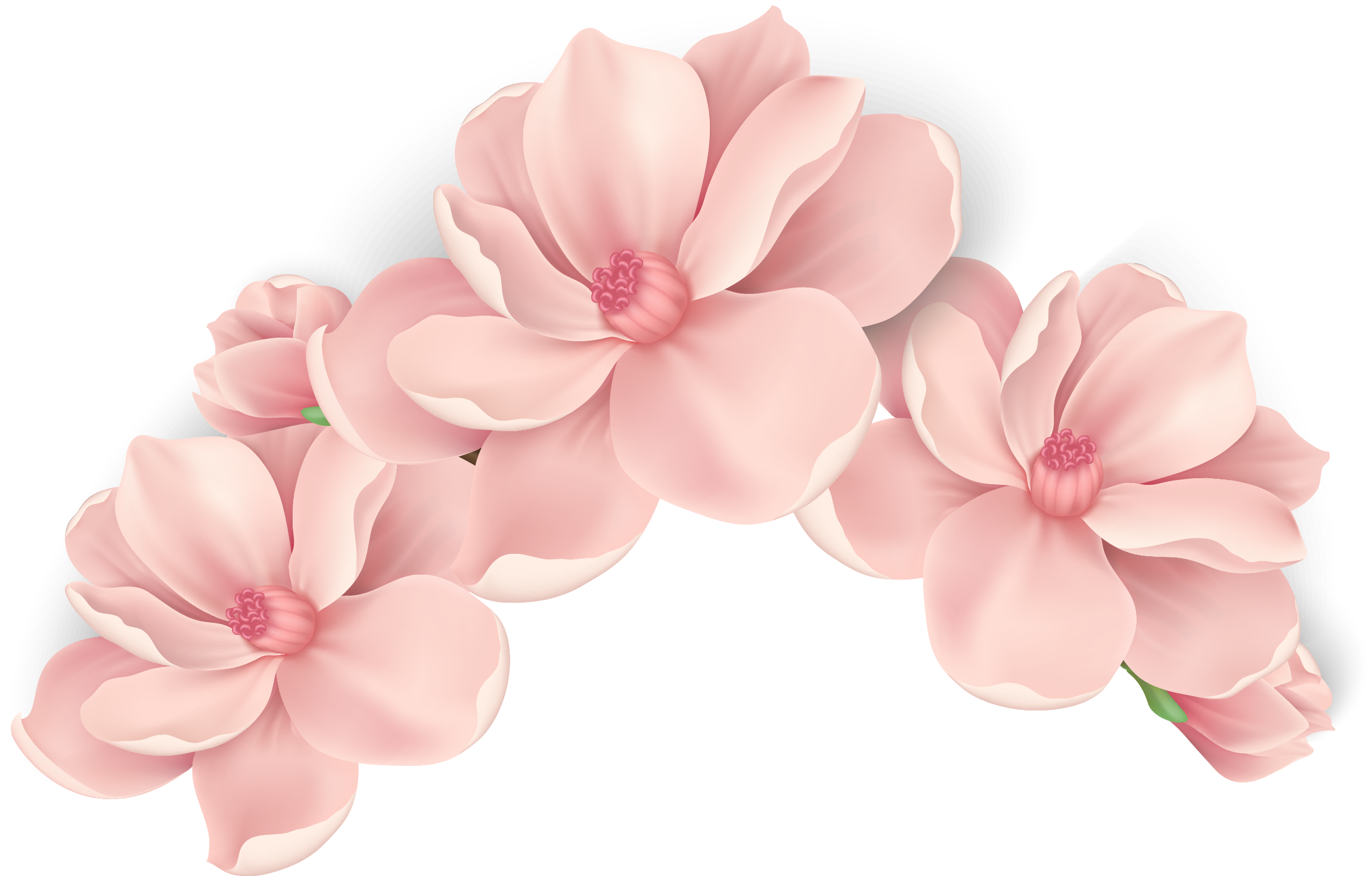 flowercrown #cute #kawaii #ftestickers #sticker #stickers #pastel #pink #fantastic #freetoedit #flower #çiçek. Flower painting, Flower art, Flower illustration