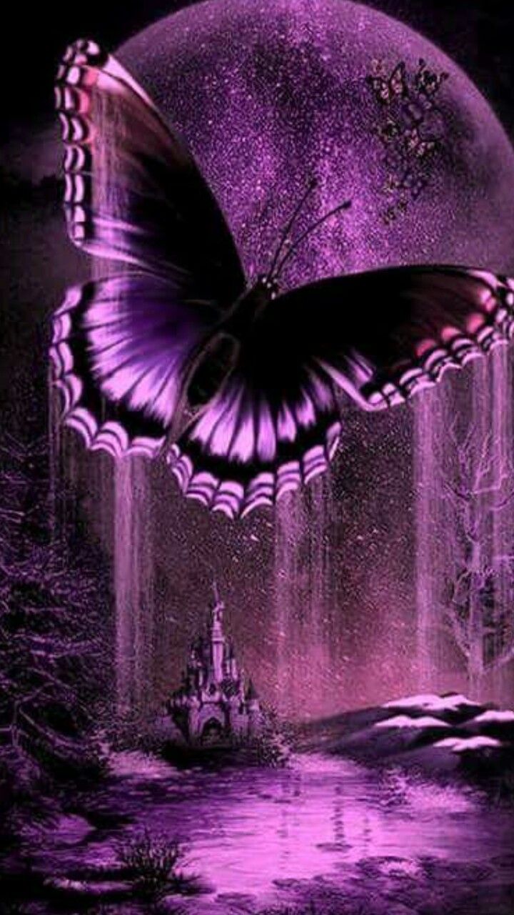 everything purple. Butterfly wallpaper background, Butterfly wallpaper, Purple butterfly