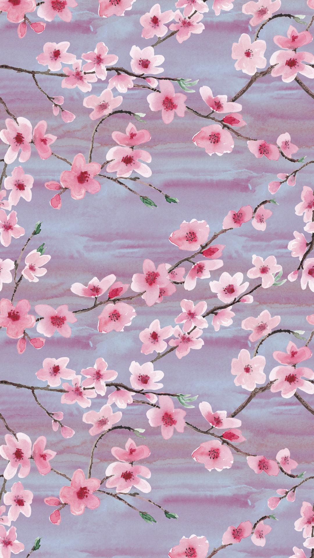Click To Download Cherry Blossoms With Blue Background Blossom Wallpaper Phone Wallpaper & Background Download