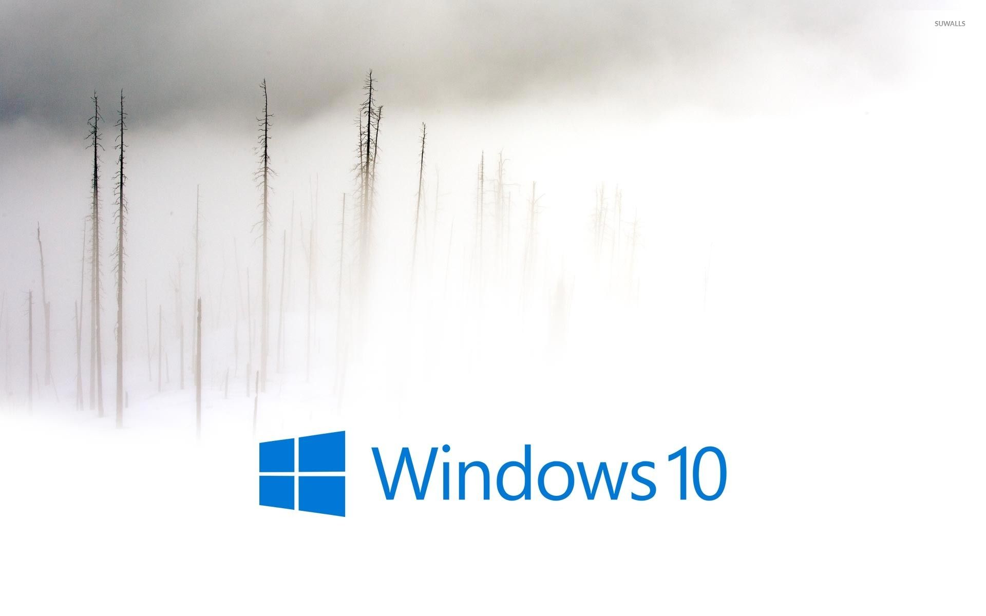 Windows 10 in the foggy winter day blue text logo wallpaper wallpaper