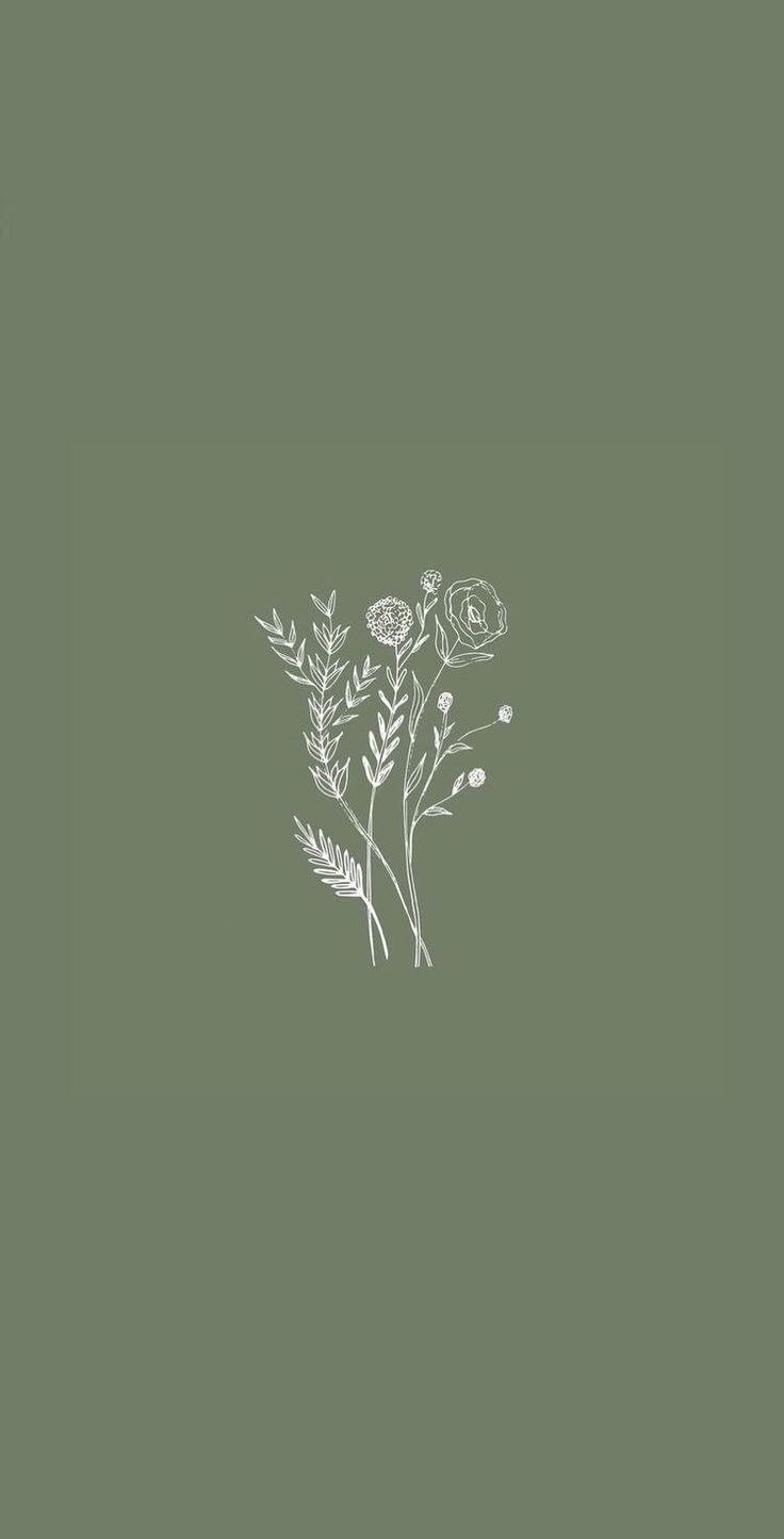 Flower illustrations. Aesthetic iphone wallpaper, iPhone background wallpaper, Green wallpaper