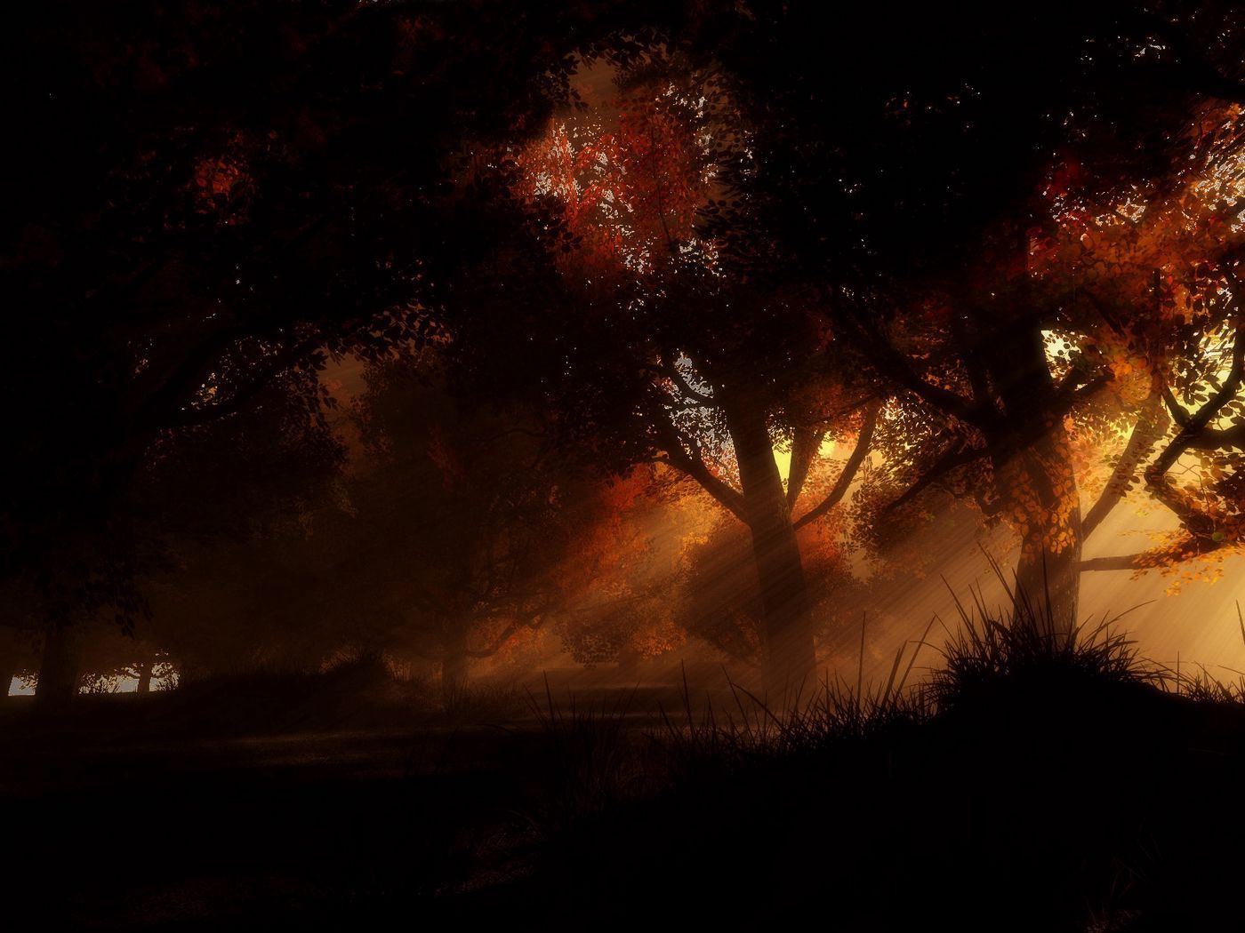 Download wallpaper 1400x1050 trees, night, autumn standard 4:3 HD background