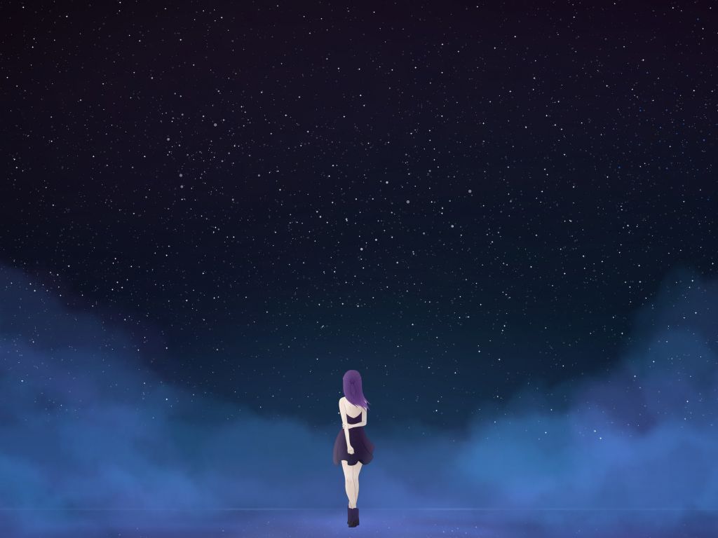 Desktop wallpaper starry sky, fantasy, anime girl, minimal, night, HD image, picture, background, 002d55