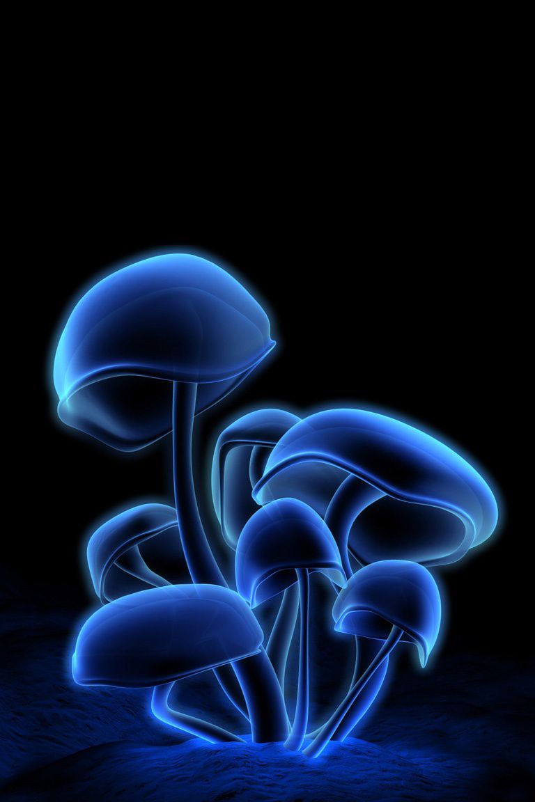 3D Blue Fluorescent Mushrooms Android Wallpaper. Mushroom wallpaper, Glowing mushrooms, Stuffed mushrooms
