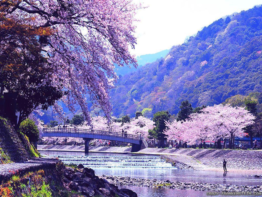 Japan Wallpaper. Beautiful Japan Wallpaper, Japan Android Wallpaper and Wallpaper Japan Fashion