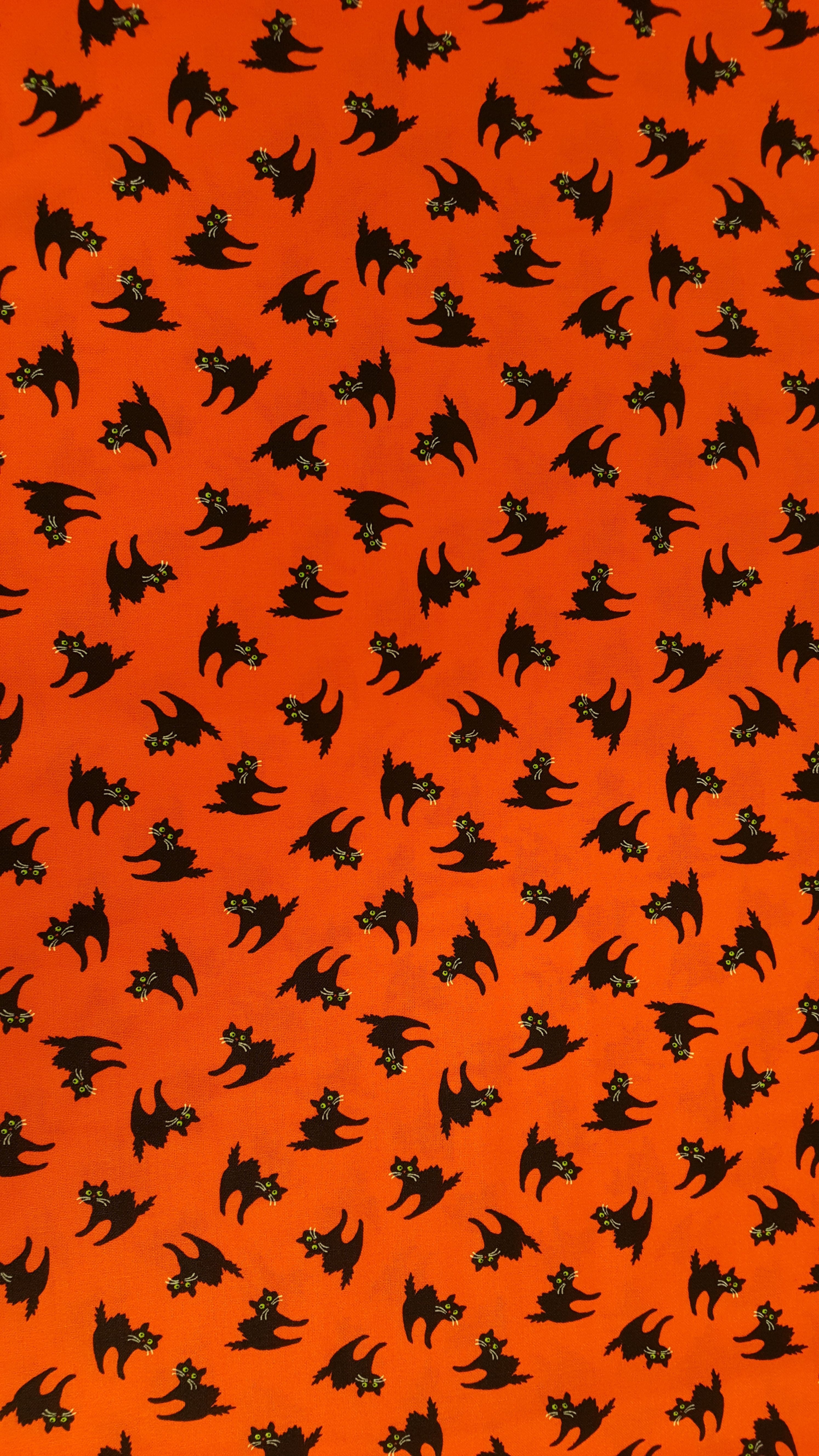 Free download black and orange cats illustration image Peakpx [2988x5312] for your Desktop, Mobile & Tablet. Explore Halloween Orange And Black Wallpaper. Halloween Orange And Black Wallpaper, Black And