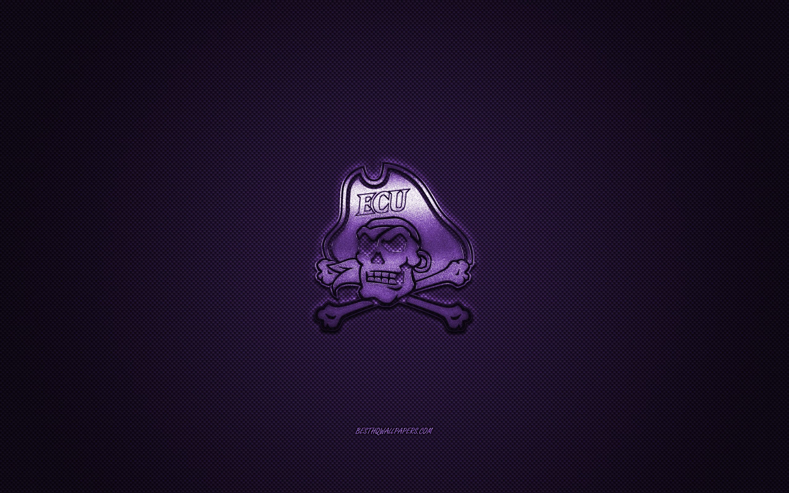 Download wallpaper East Carolina Pirates logo, American football club, NCAA, purple logo, purple carbon fiber background, American football, Greenville, North Carolina, USA, East Carolina Pirates, ECU Pirates for desktop with resolution 2560x1600