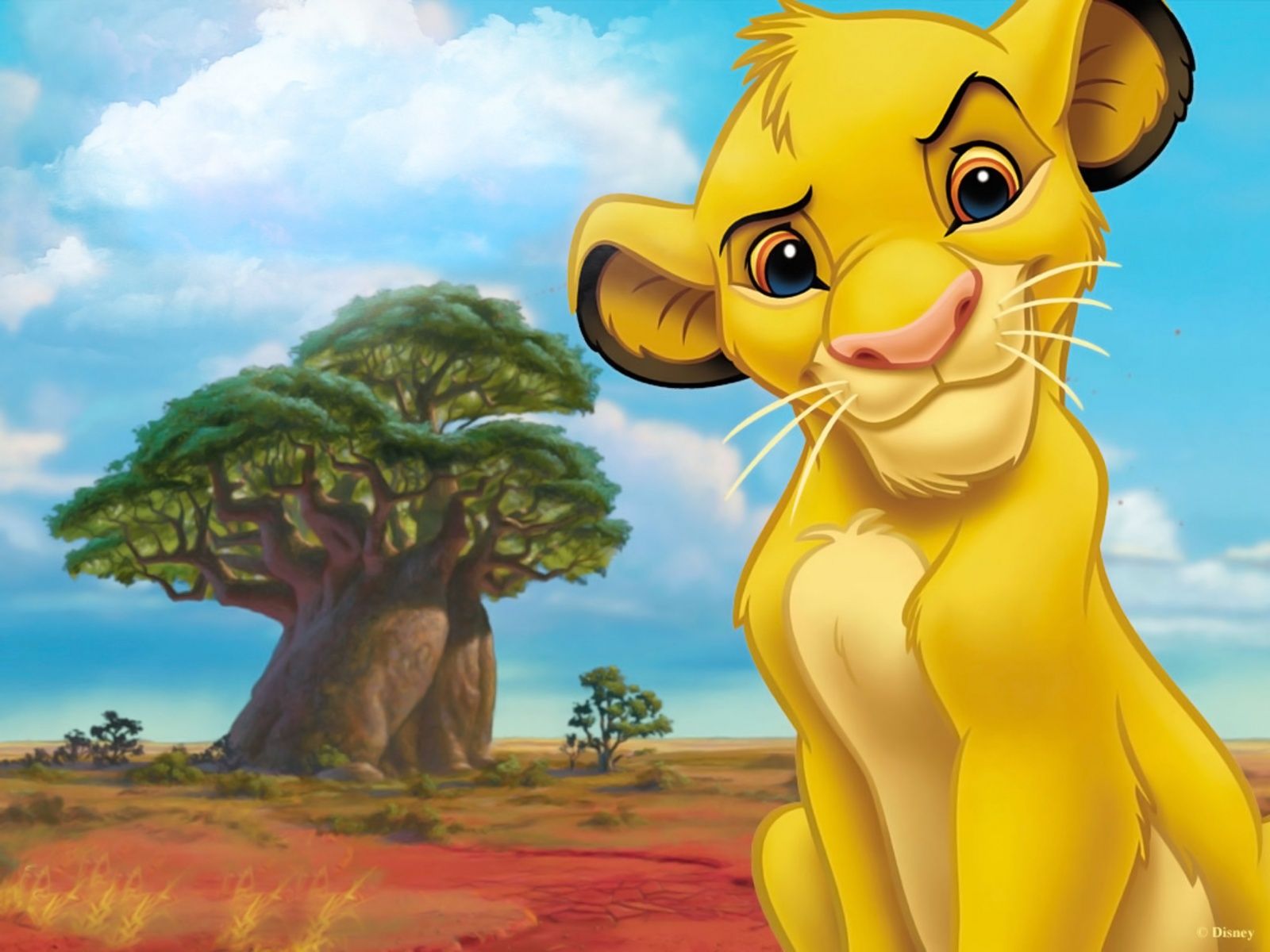 Lion Cartoon Wallpapers Wallpaper Cave Lion Cartoon Wallpapers Wallpaper Cave