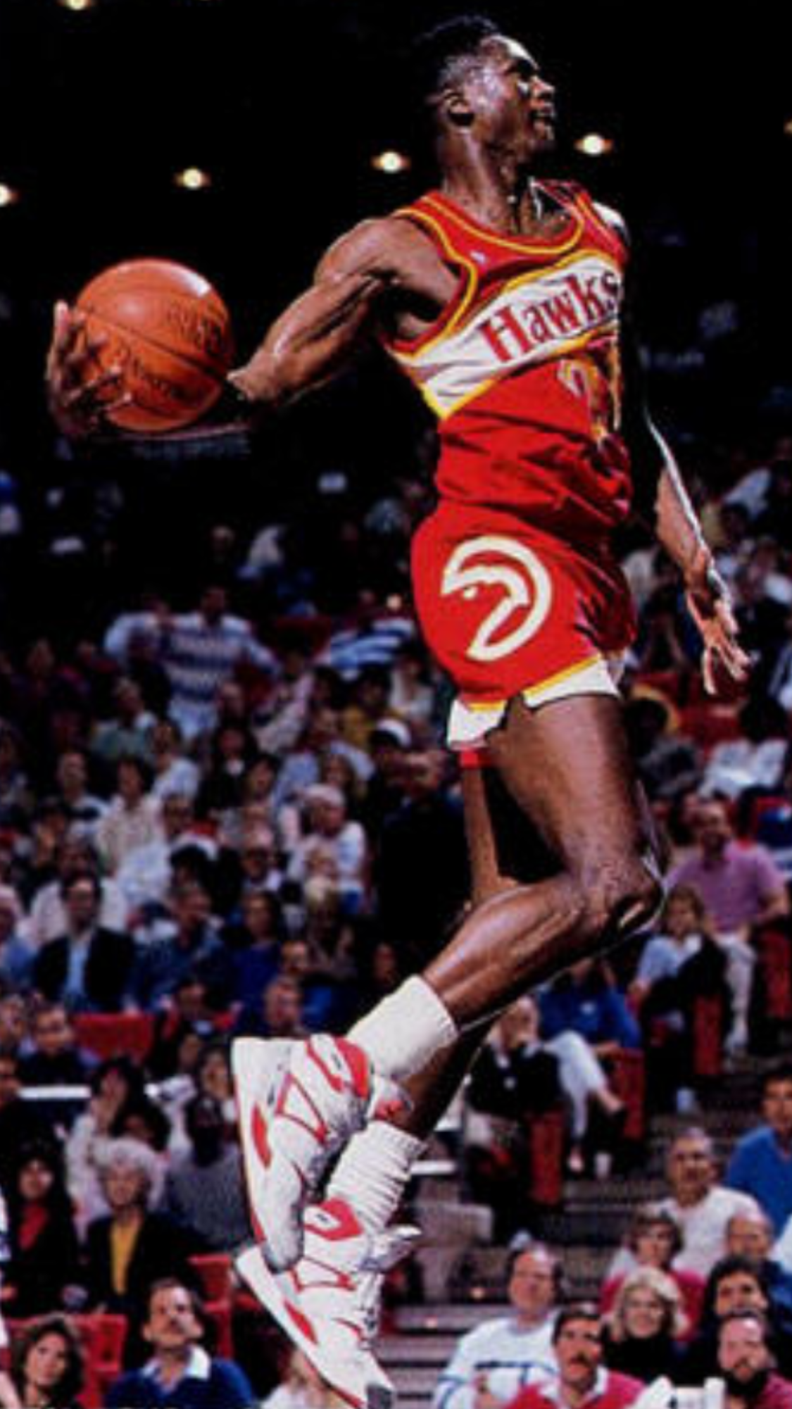 Dominique Wilkins Basketball Gallery