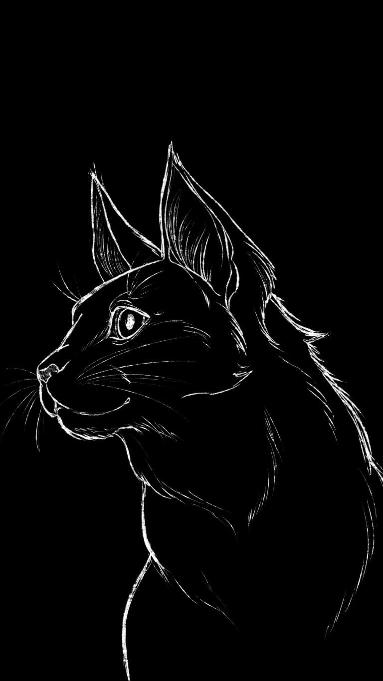 Cat Illustration Dark Black iPhone 12 4K Wallpapers Download ⋆ Traxzee