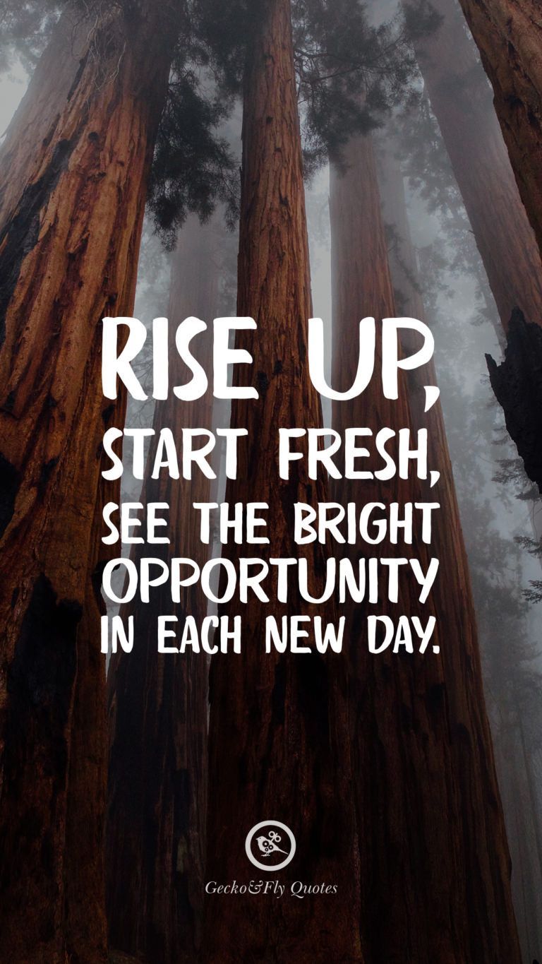 Rise up, start fresh, see the bright opportunity in each new day. Motivational quotes wallpaper, Inspirational quotes wallpaper, Fly quotes