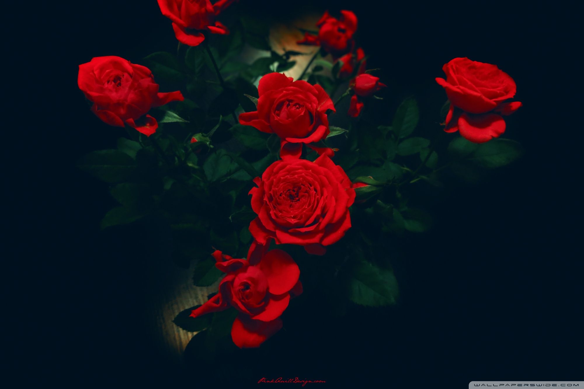 Red Roses Ultra HD Desktop Background Wallpaper for 4K UHD TV, Widescreen & UltraWide Desktop & Laptop, Tablet