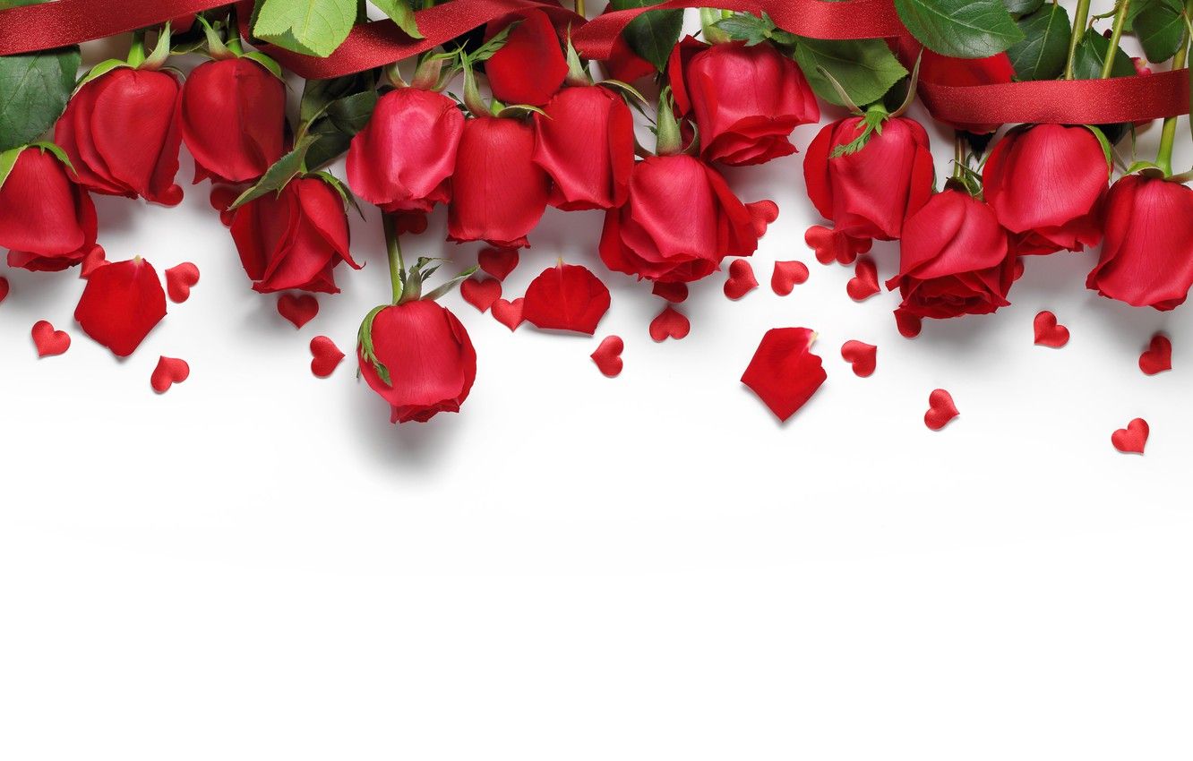 Wallpaper hearts, red, love, flowers, romantic, hearts, Valentine's Day, gift, roses, red roses image for desktop, section праздники