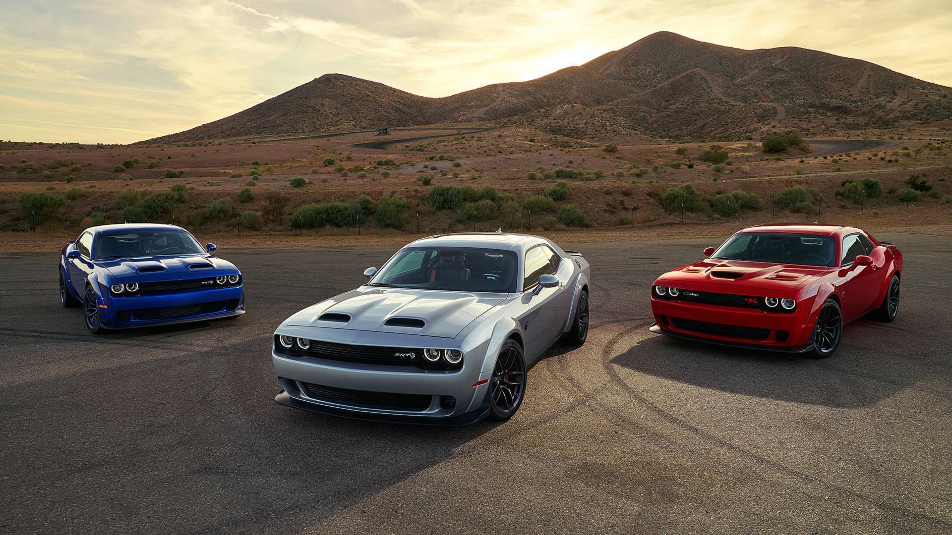 dog: 2019 Dodge Charger Hellcat Wallpaper