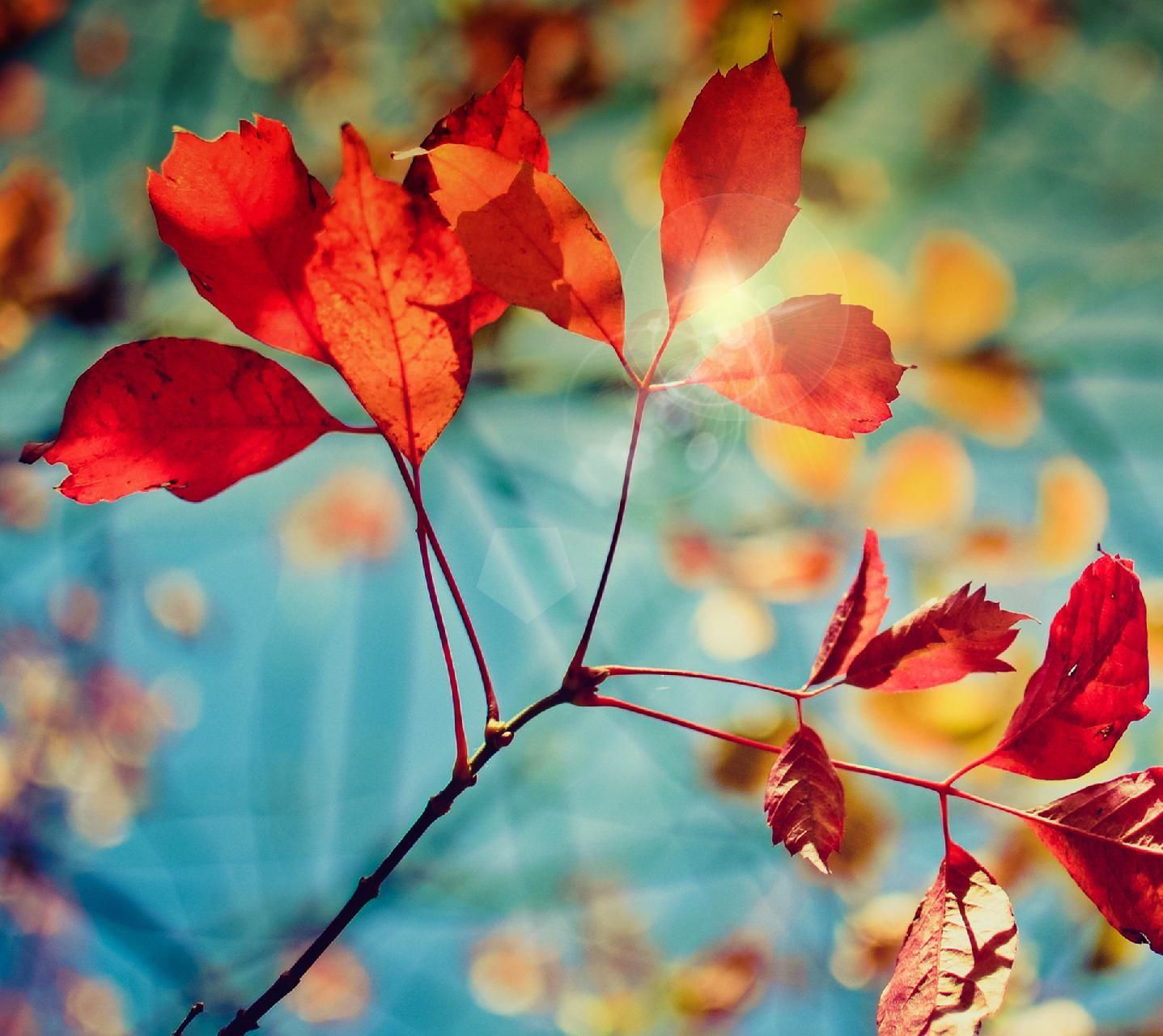 Fancy Autumn Wallpapers - Wallpaper Cave