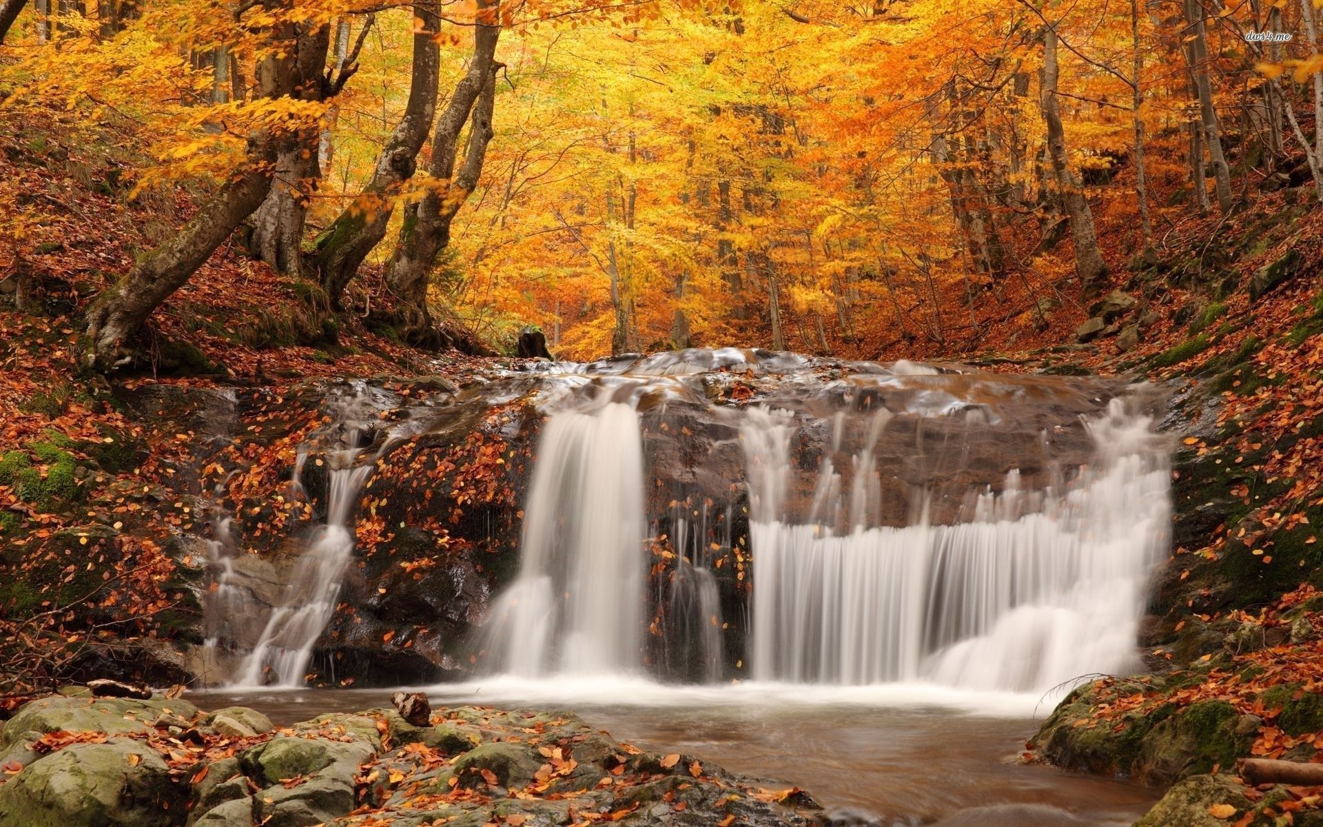 Waterfall in the fall woods wallpaper wallpaper