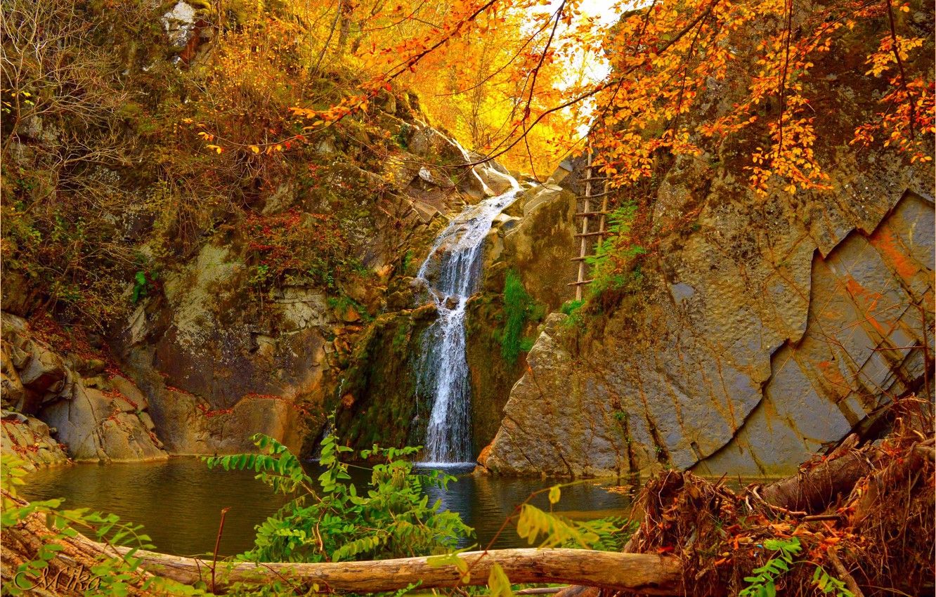 Wallpaper Waterfall, Autumn, Fall, Autumn, Waterfall image for desktop, section пейзажи