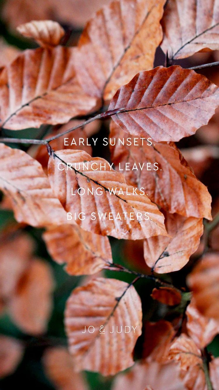 Free Autumn Wallpaper Download. Fall Quote by JO & JUDY. Fall leaves picture, Nature wallpaper, Leaves