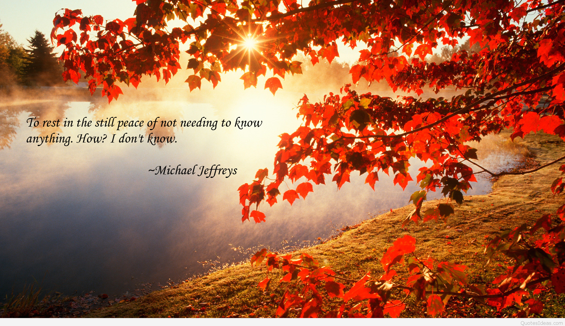 Beautiful Autumn picture quotes and sayings 2015 2016