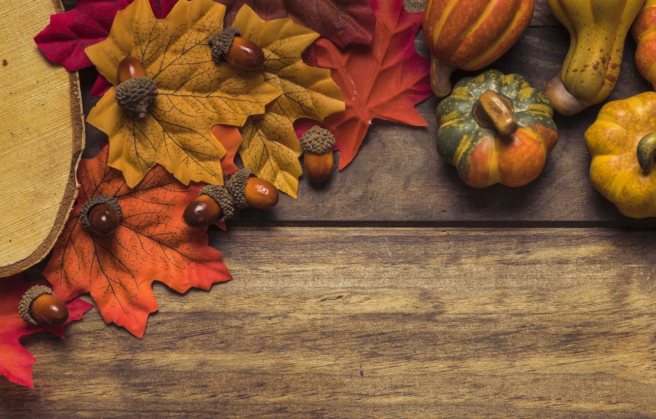 Photo Wallpaper Autumn, Leaves, Background, Tree, Board, Leaves And Pumpkins Wallpaper & Background Download