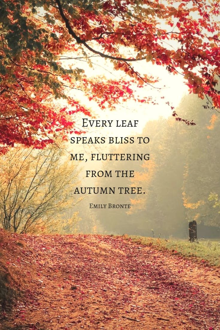 What Are Some Fall Sayings