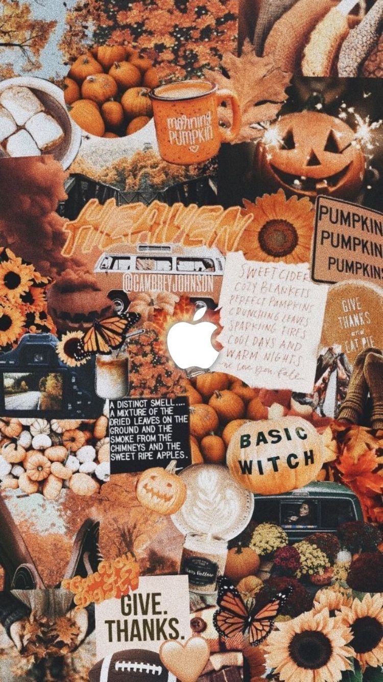 Fall Pumpkin Wallpaper