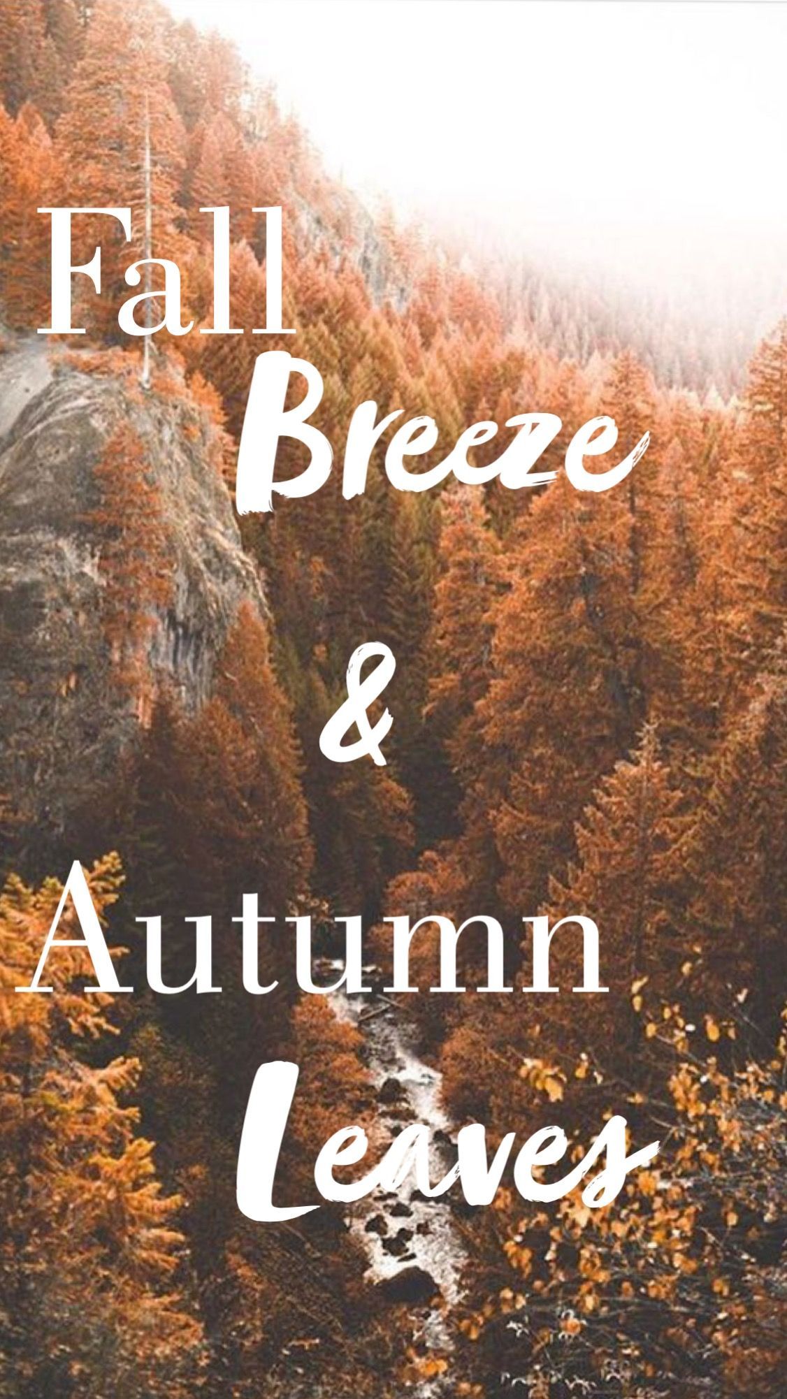 fall quotes. Autumn quotes, Fall season quotes, Season quotes