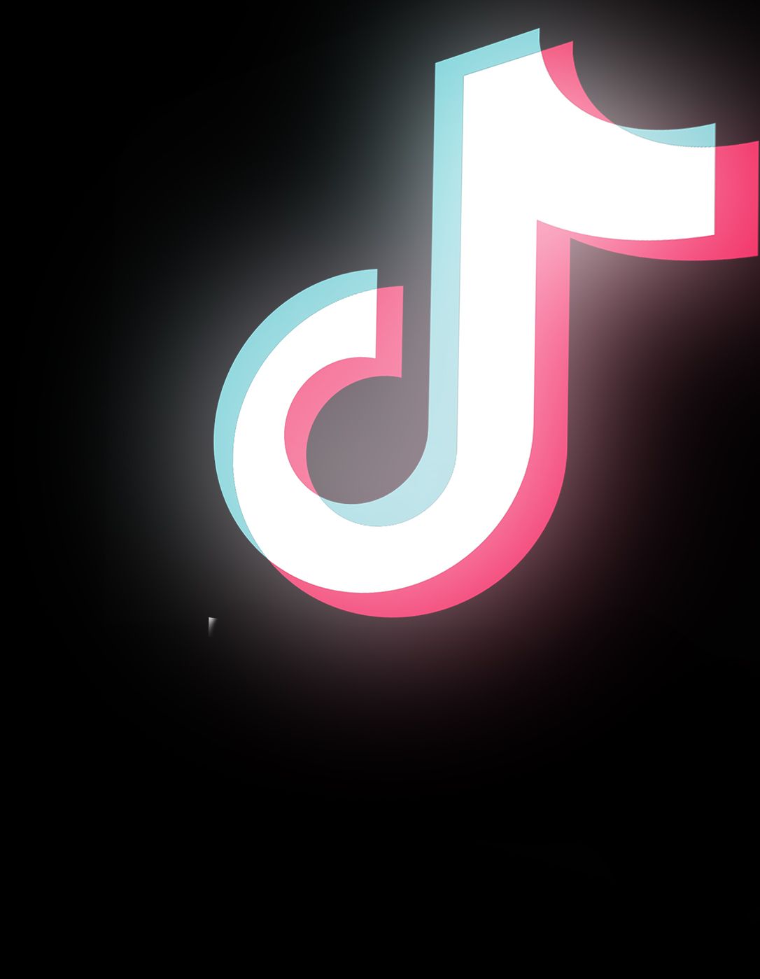 how to download a tik tok video on pc
