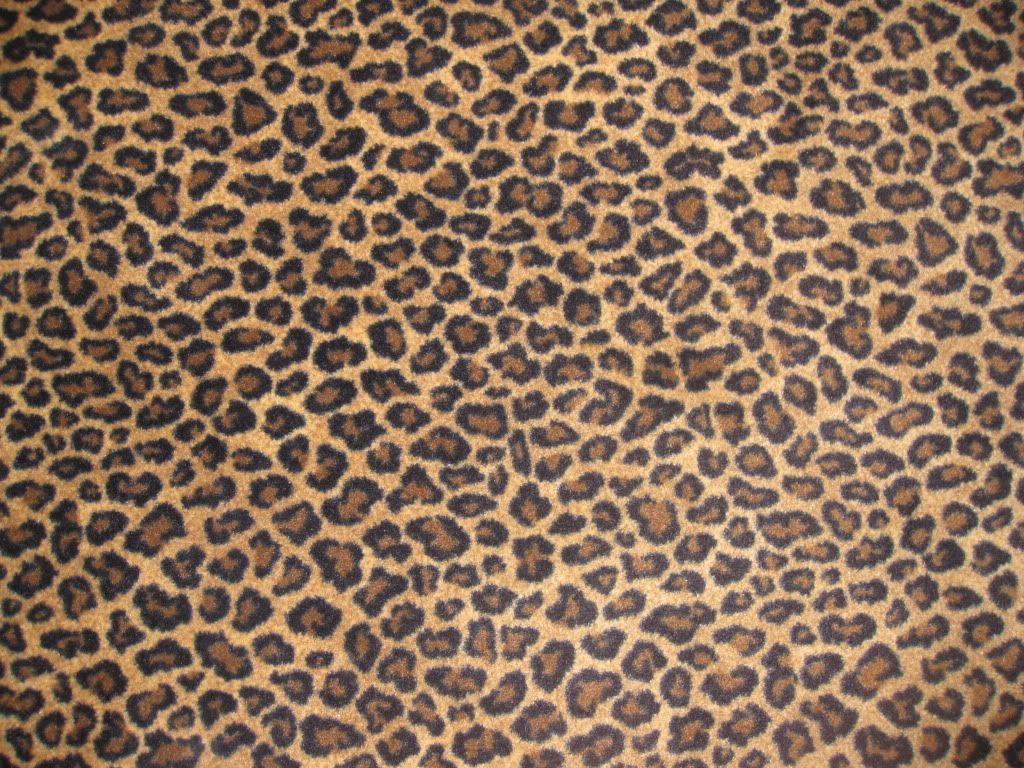 Leopard Print Wallpaper for Desktop