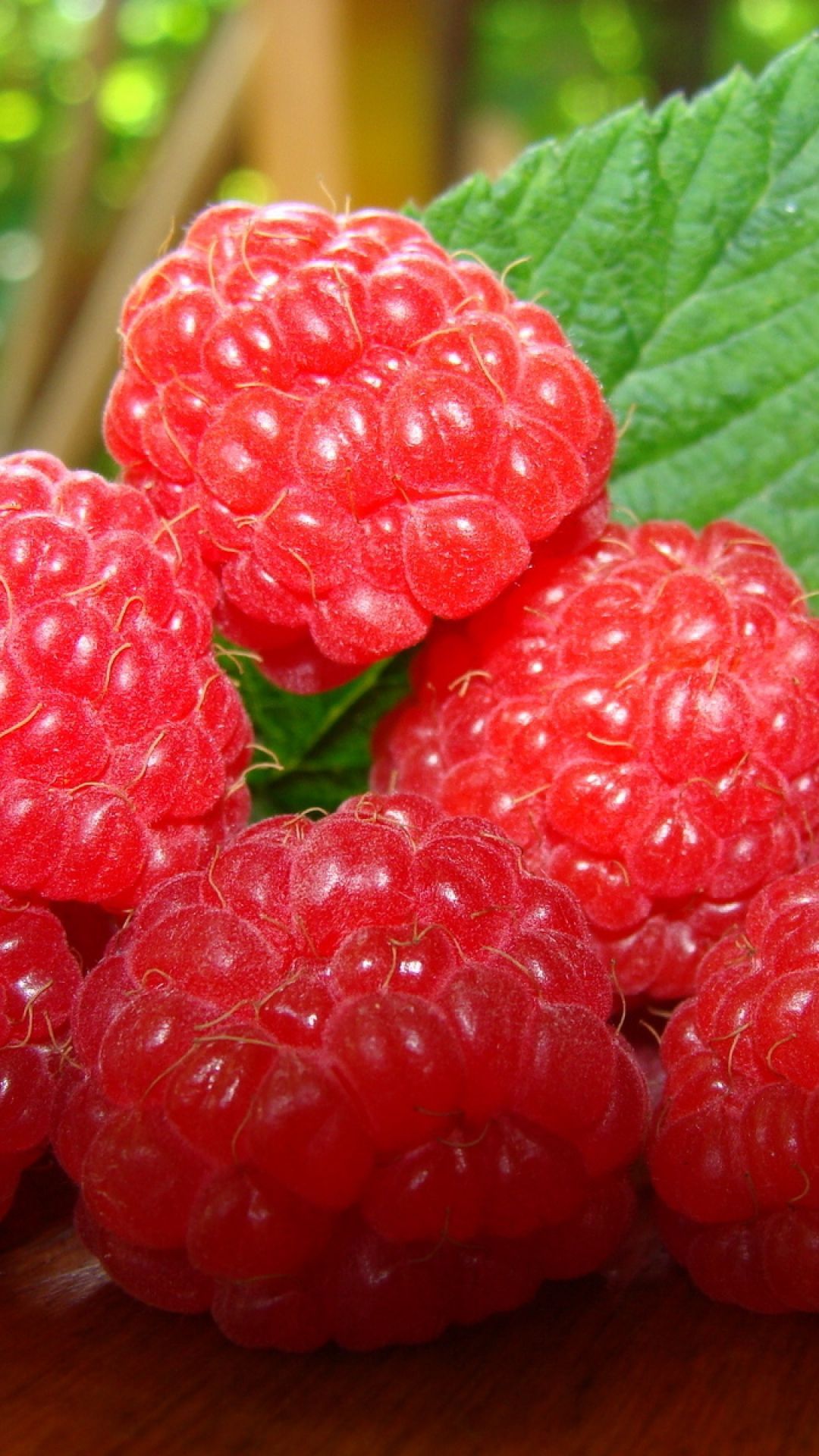 Red Fruits Wallpaper. Frutta, Natura