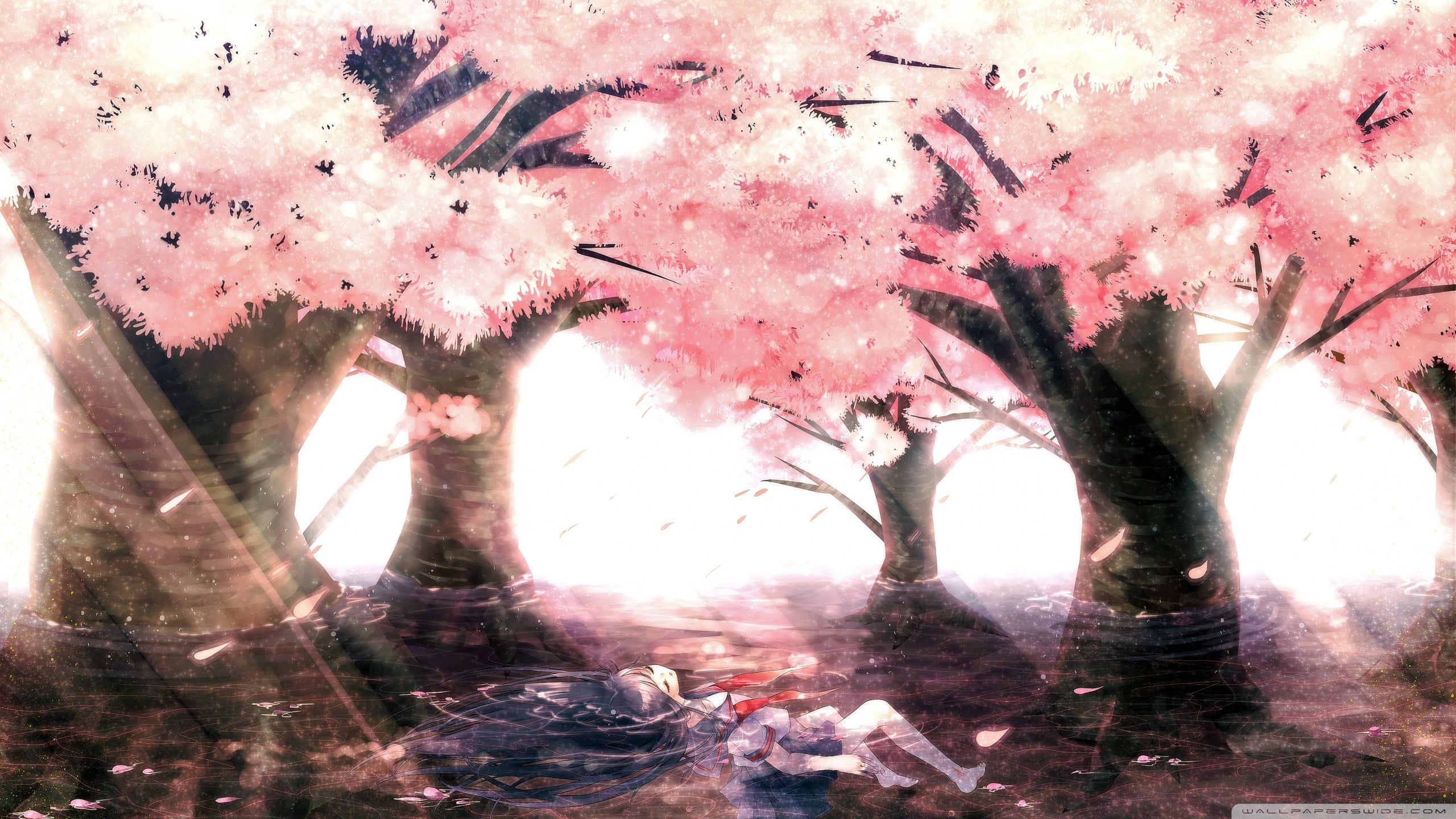 Anime Girl Under Cherry Blossom Tree