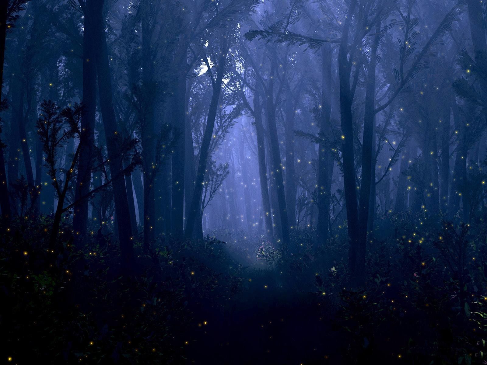 Bokeh, Trees, Night, Dream Digital, Forest, High Definition, Mood, Insect, fantasy, Anime, Firefly