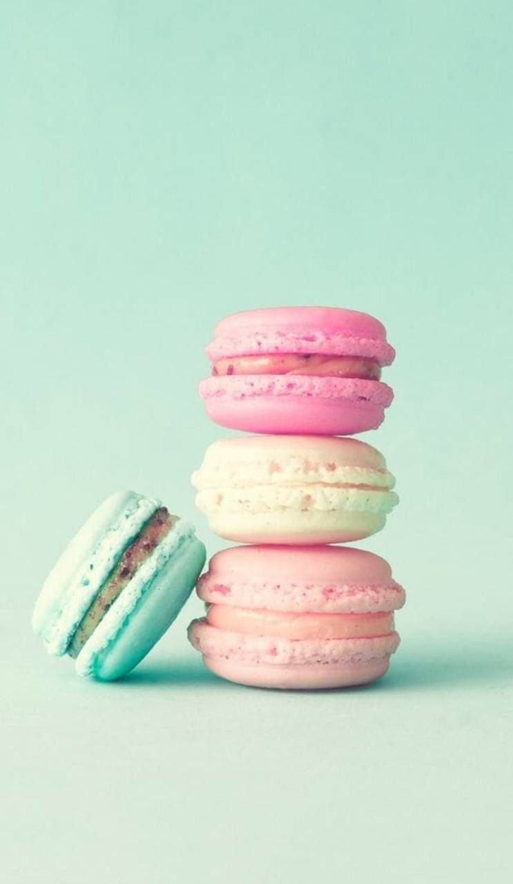 Nature Macaron Wallpaper Free HD Wallpaper