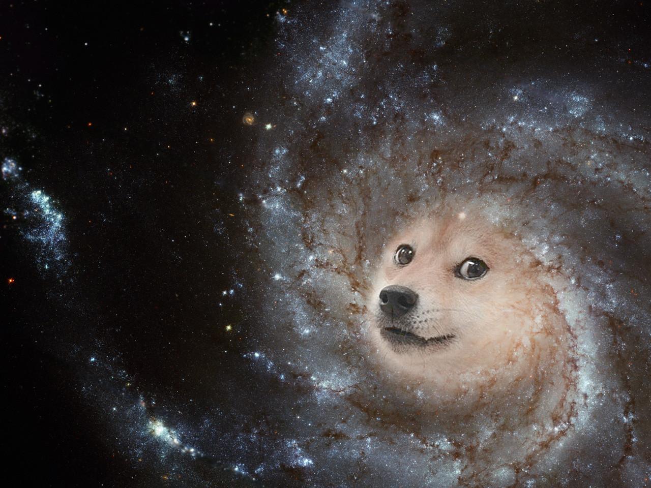 Wallpaper Galaxy Picture Of Dogs