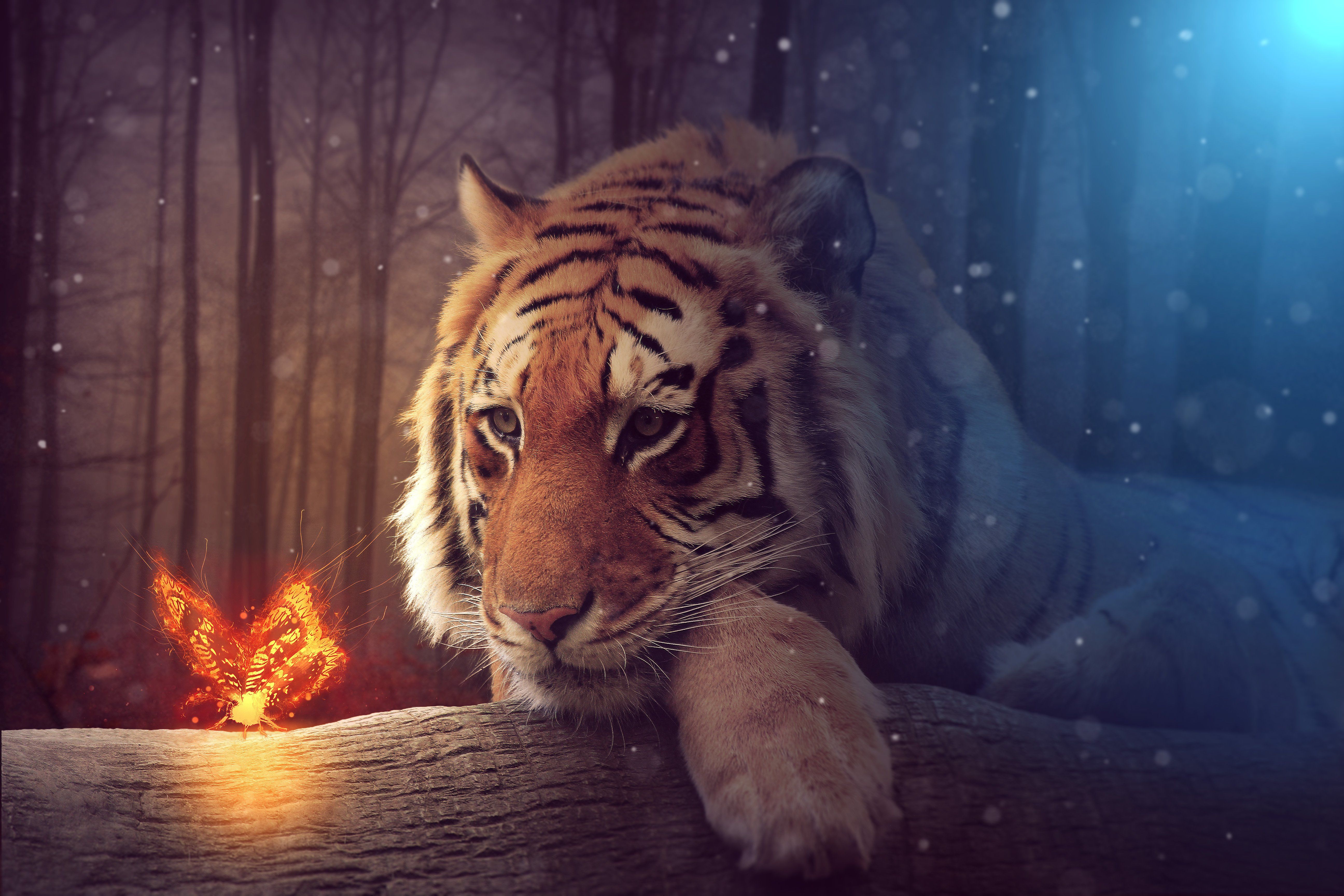 Tiger Dreamy Art, HD Artist, 4k Wallpaper, Image, Background, Photo and Picture