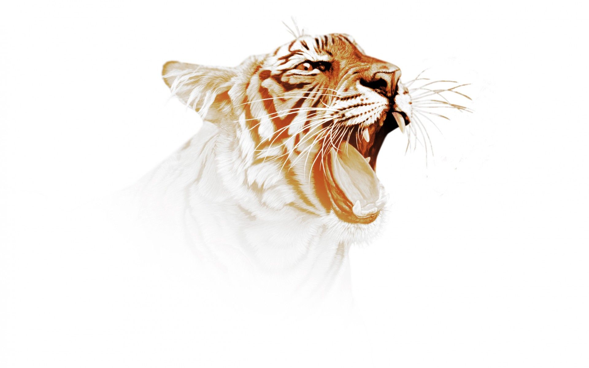 Tiger predator art wallpaperx1200