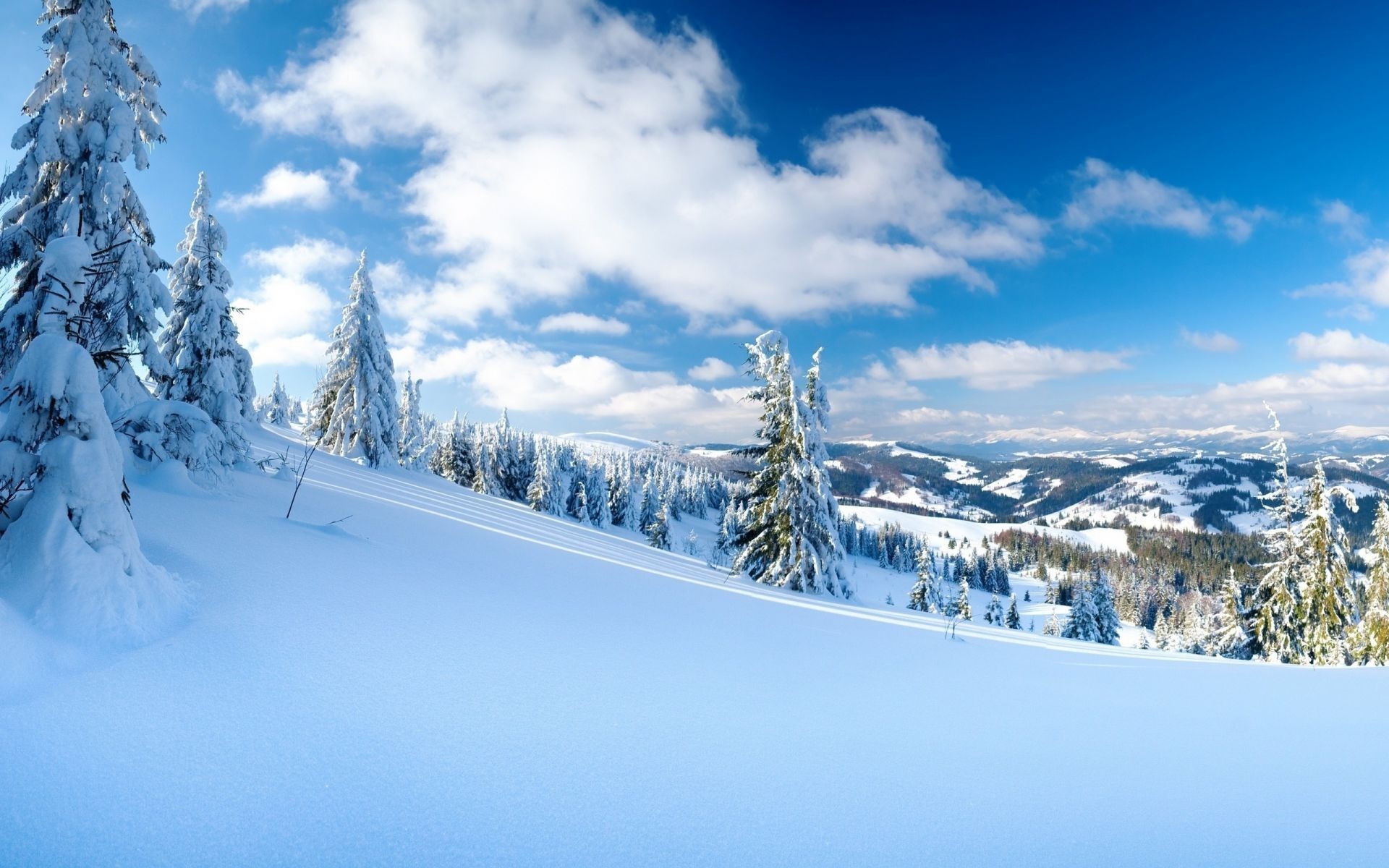 Landscapes trees winter Wallpapers winter clouds nature snow