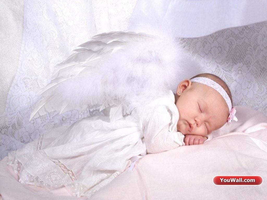 Baby Angel Wallpaper