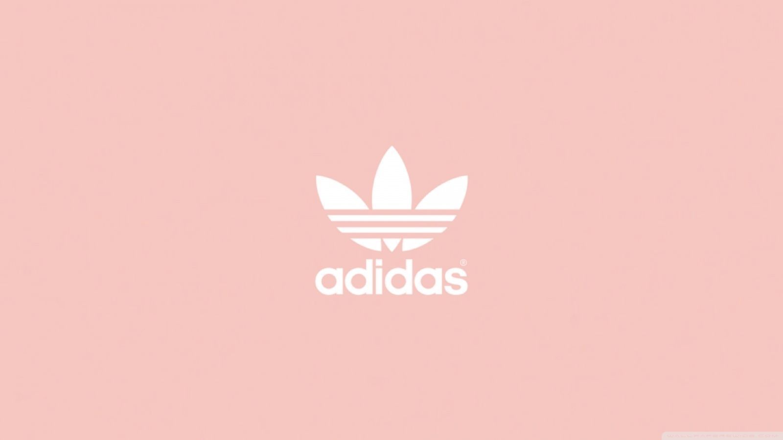 Pink Adidas Logo Wallpaper Free Pink Adidas Logo Background