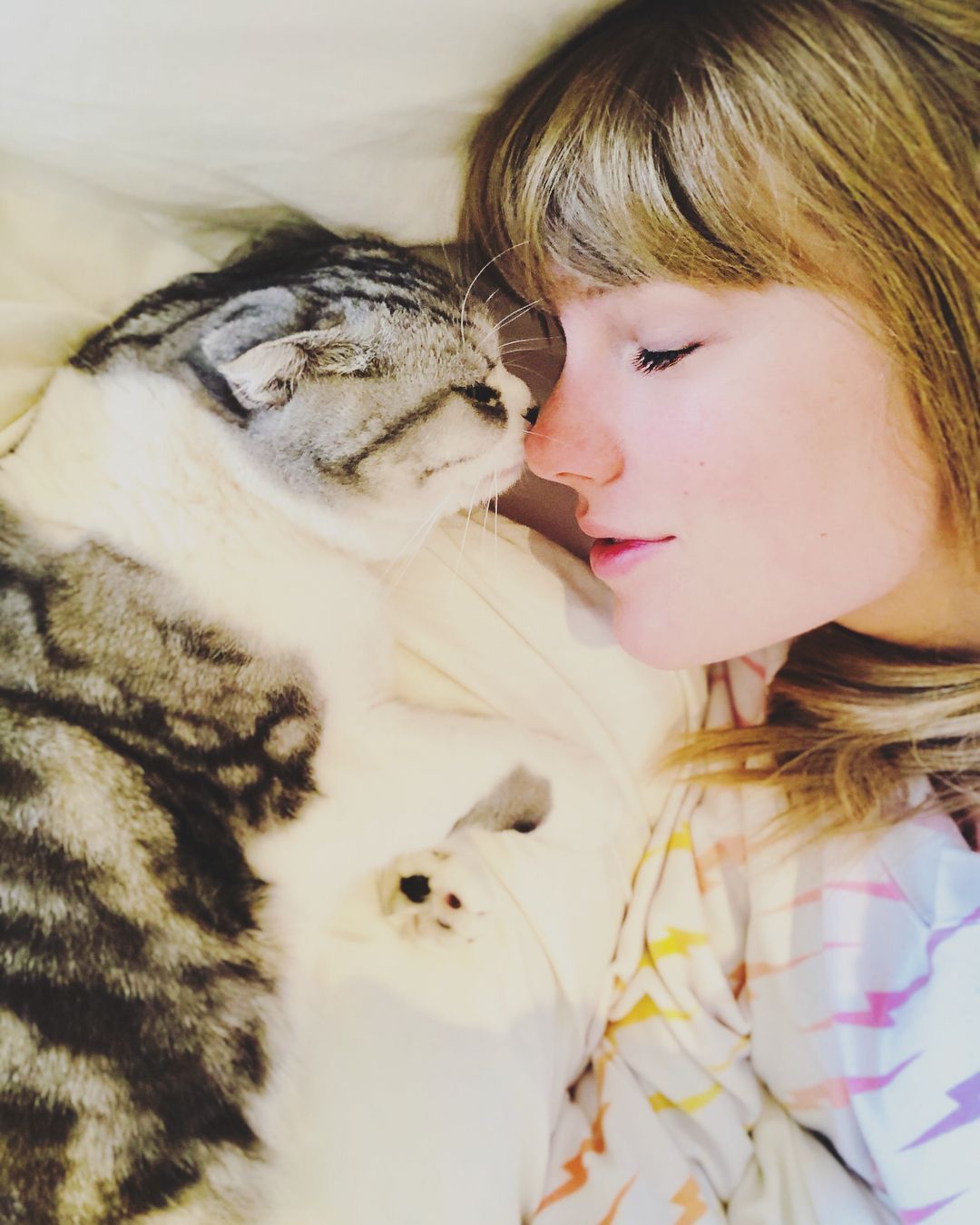 Taylor Swifts Cats Wallpapers Wallpaper Cave