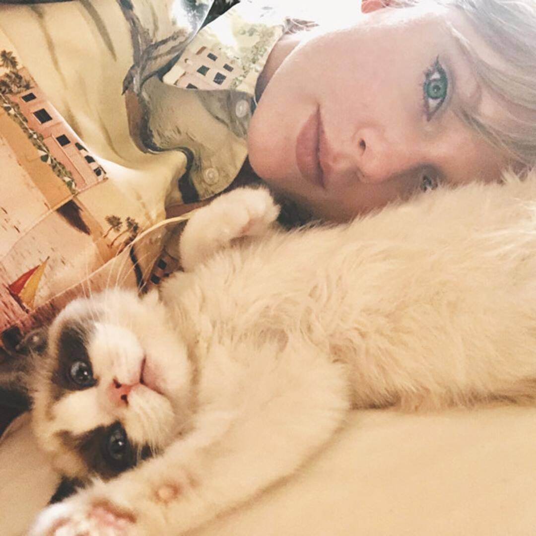 Taylor Swift Is Having The Most Purr Fect National Cat Day! Online